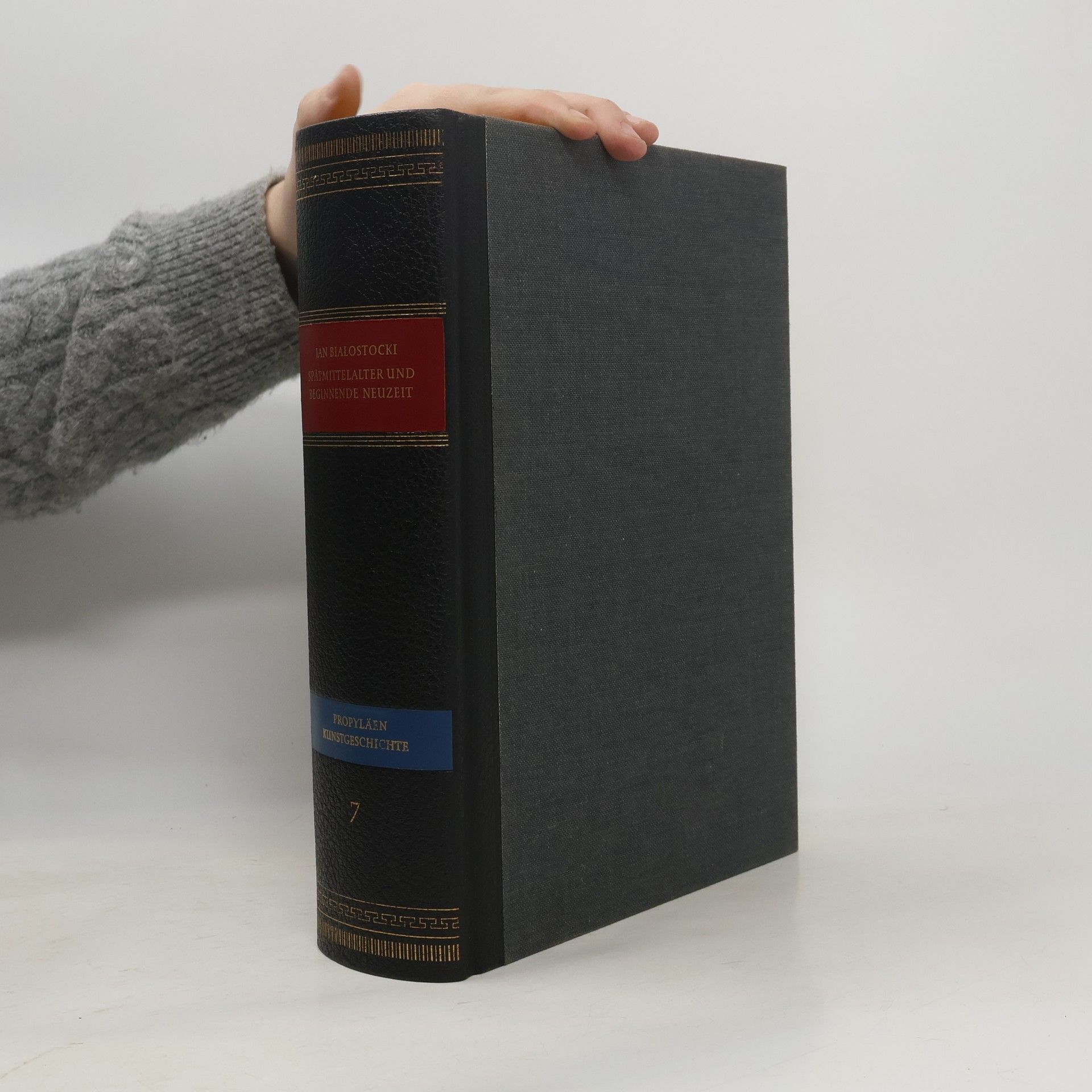 Propylaen Kunst Geschichte 7. Spätmittelalter und beginnende Neuzeit