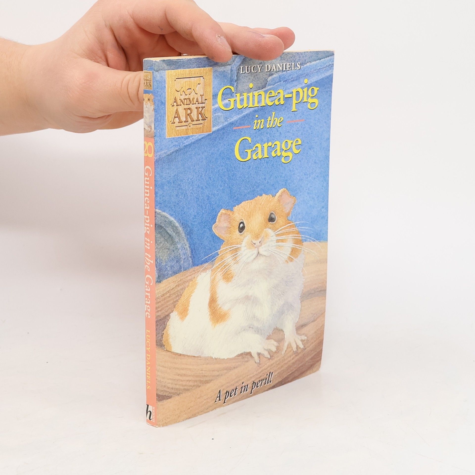 Lucy Daniels Guinea-Pig in the Garage