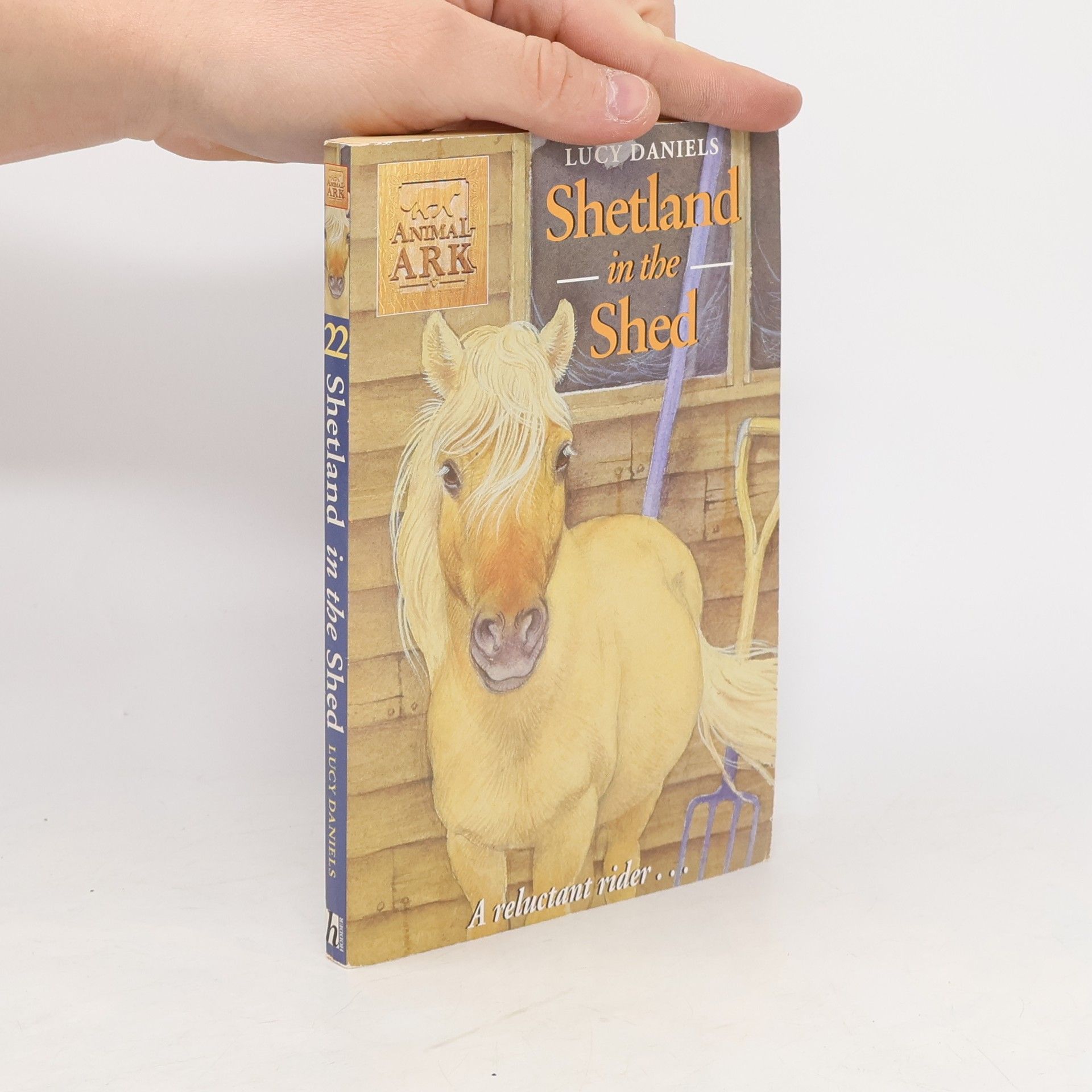 Lucy Daniels Shetland in the shed