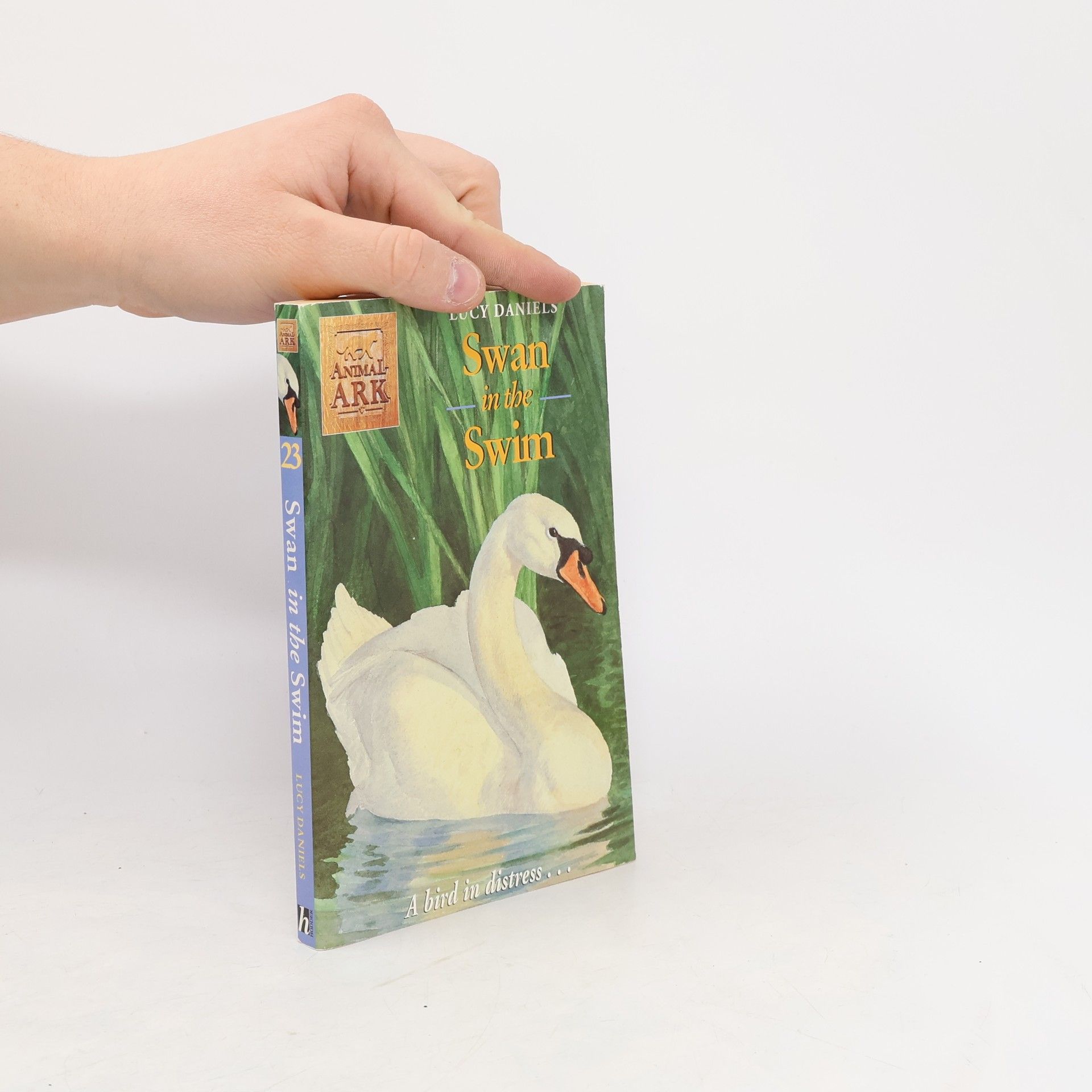 Lucy Daniels Swan in the Swim