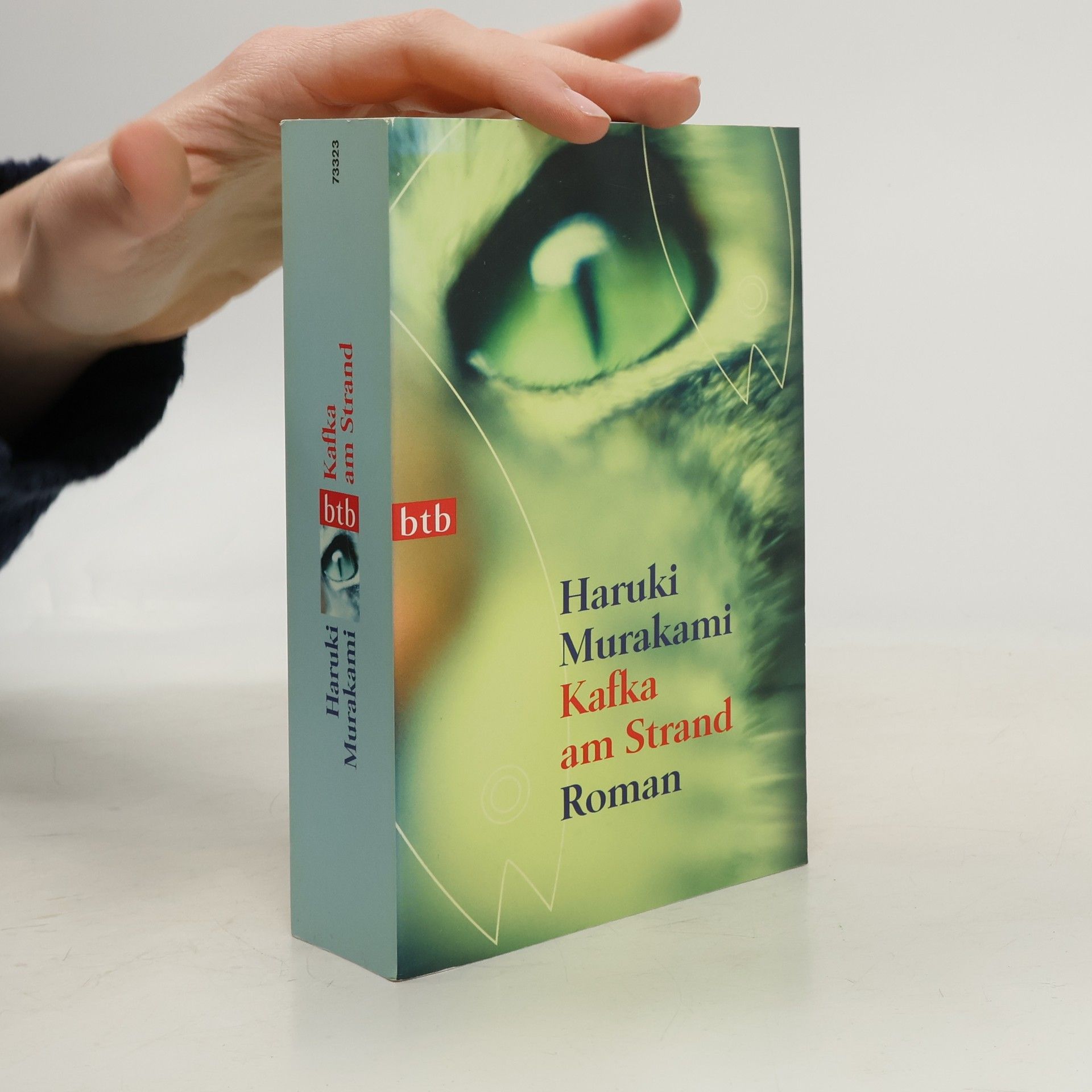 Haruki Murakami Kafka am Strand