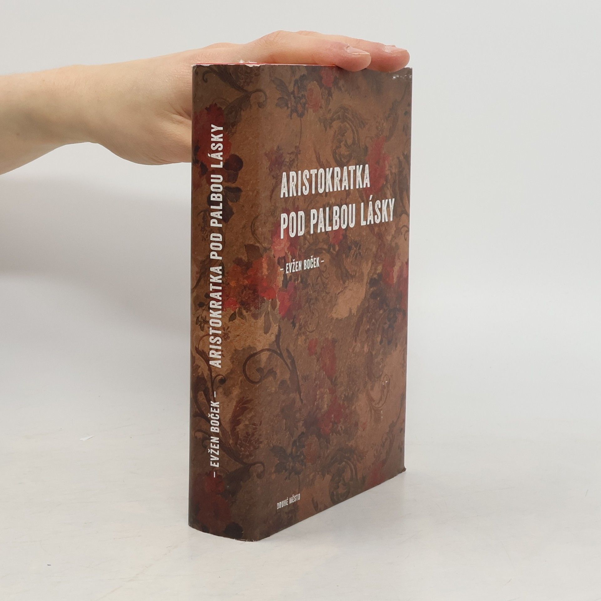 Aristokratka pod palbou lásky