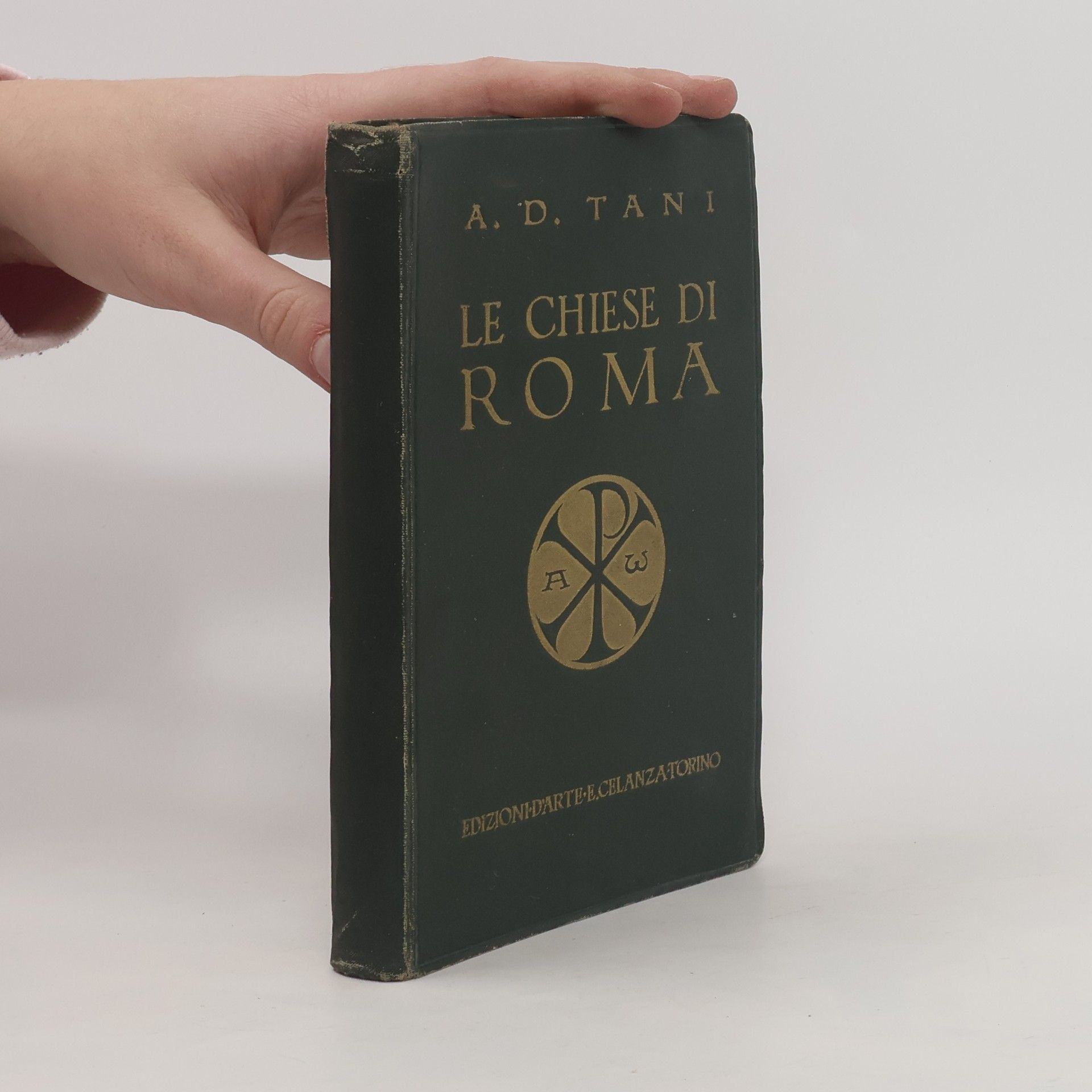 Ariside D. Tani Le chiese di Roma