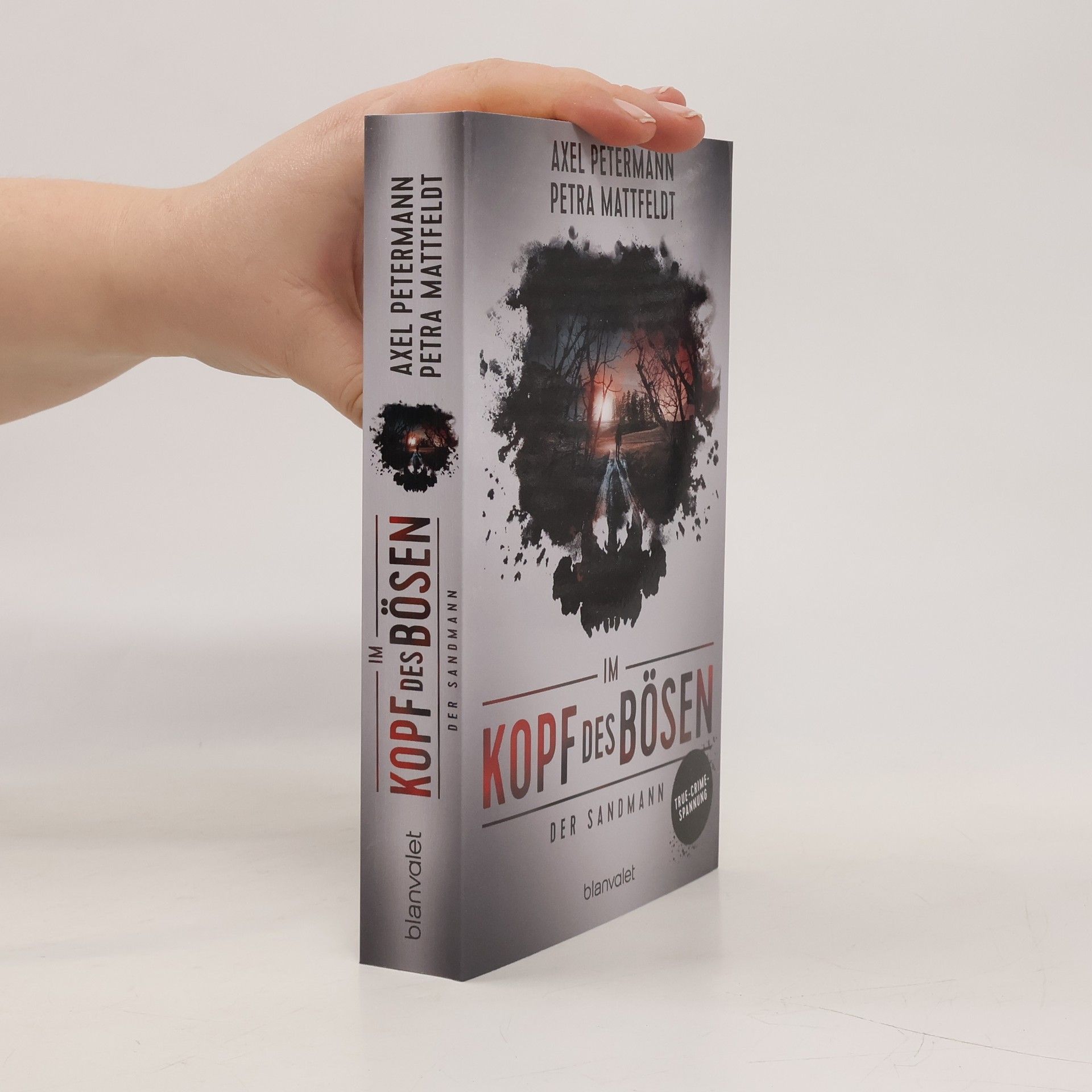 Axel Petermann Im Kopf des Bösen - Der Sandmann