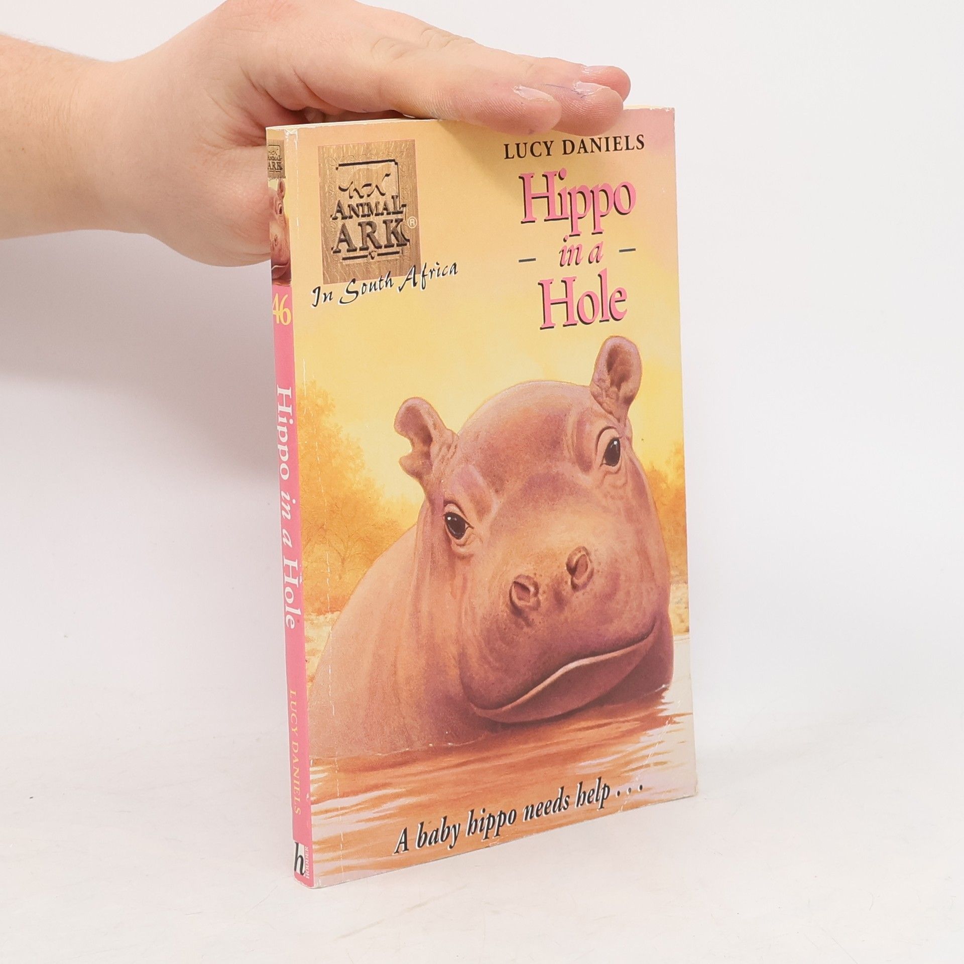 Lucy Daniels Hippo in a Hole