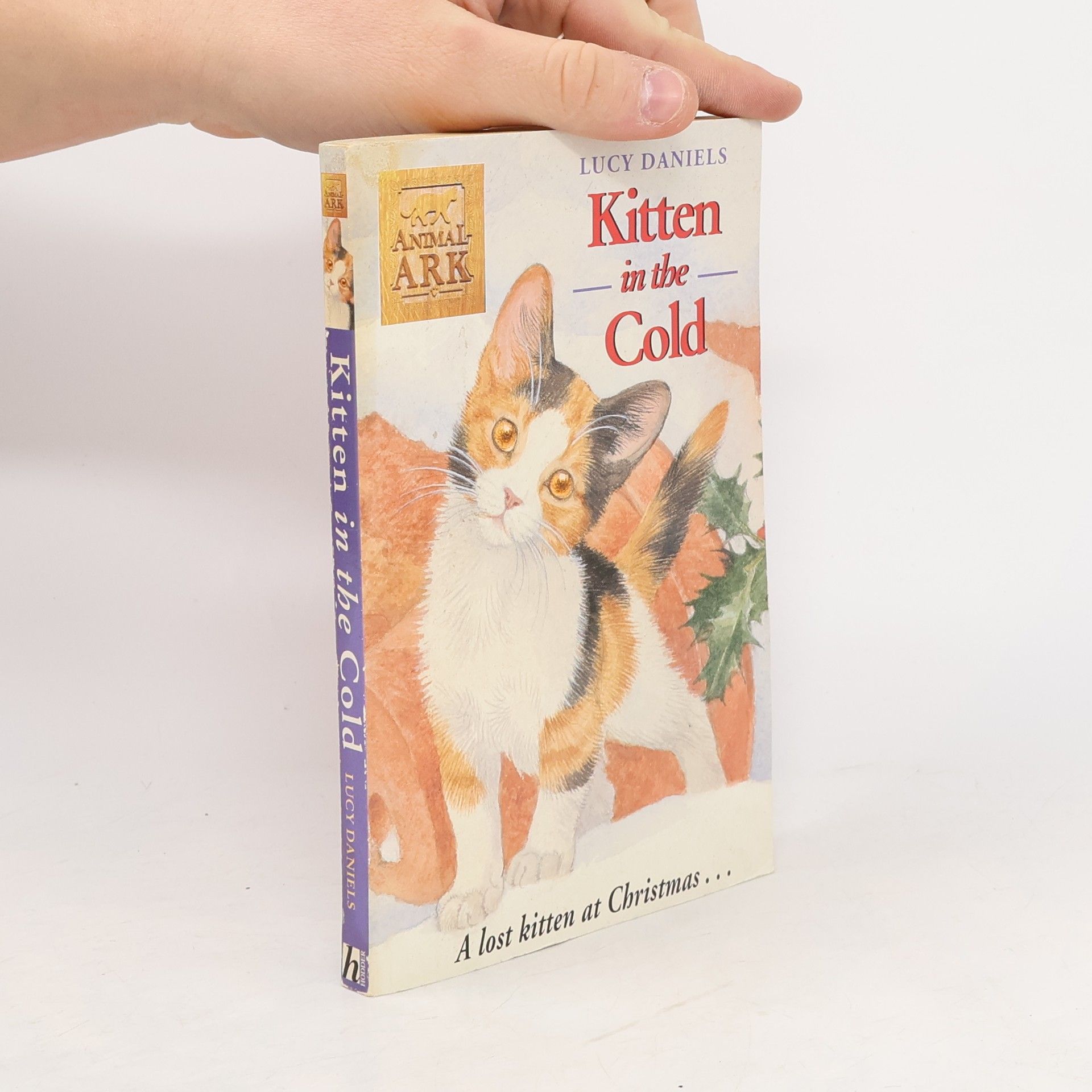 Lucy Daniels Kitten in the cold