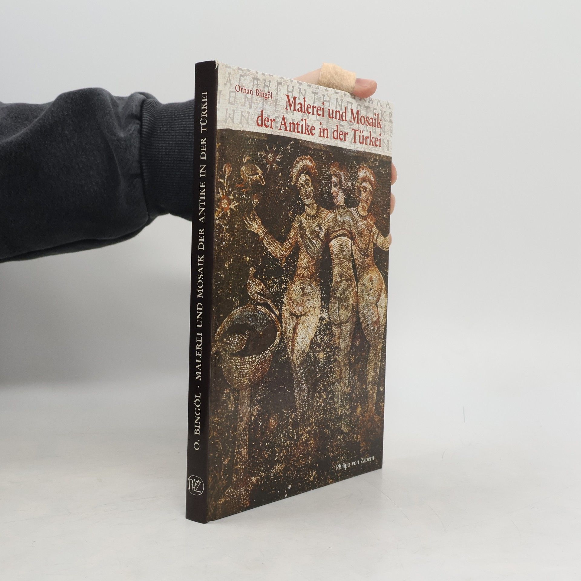 Orhan Bingöl Malerei und Mosaik der Antike in der Türkei
