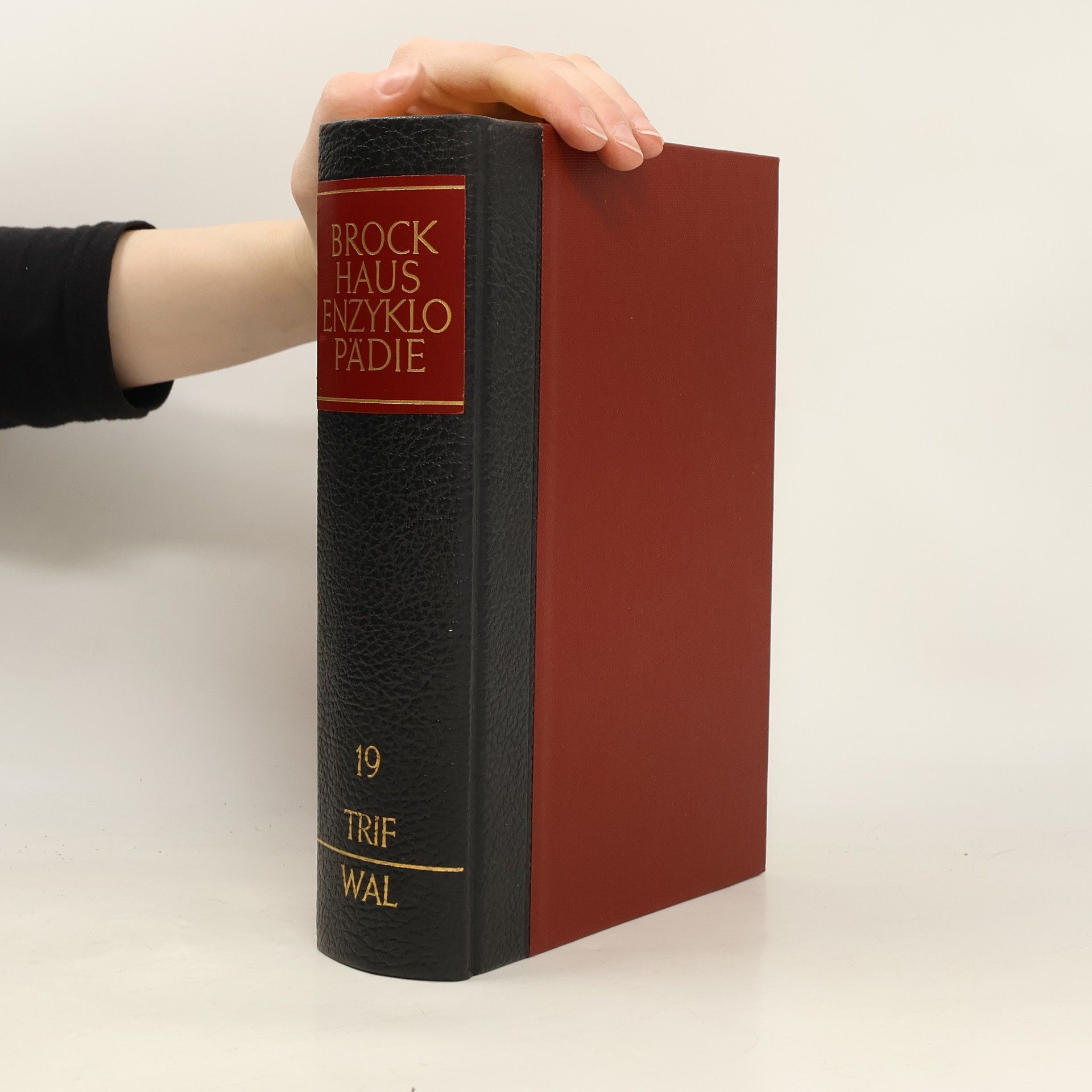 Kolektiv autorů Brockhaus Enzyklopädie Band 19. Rut-Sch