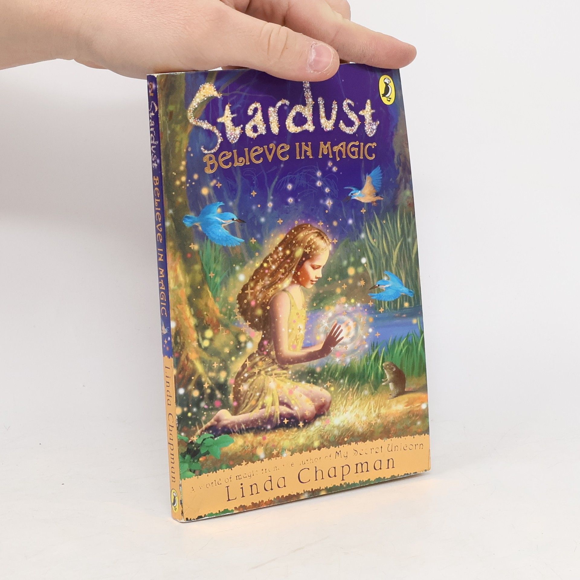 Linda Chapman Stardust