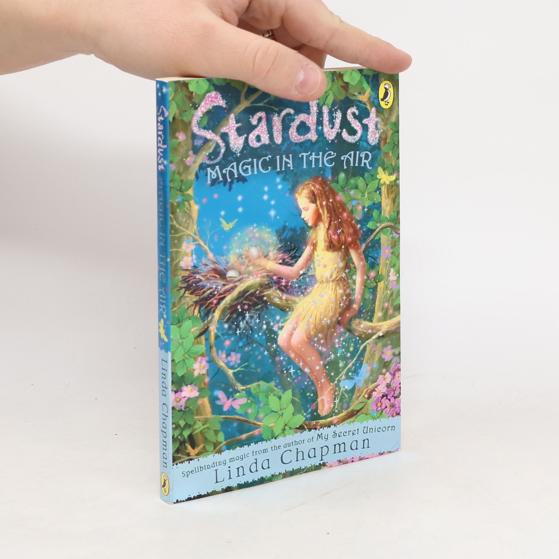 Linda Chapman Magic in the Air