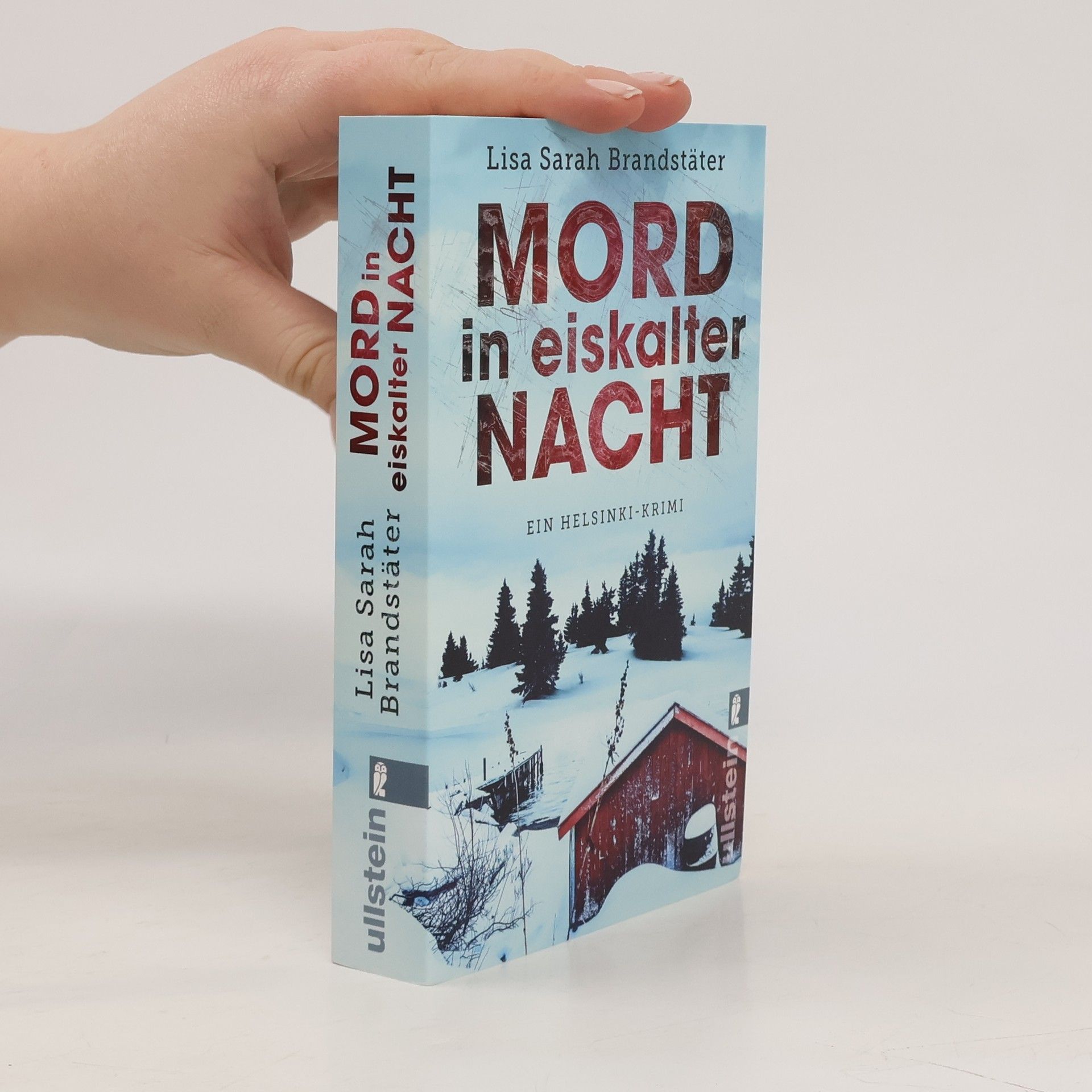 Mord in eiskalter Nacht