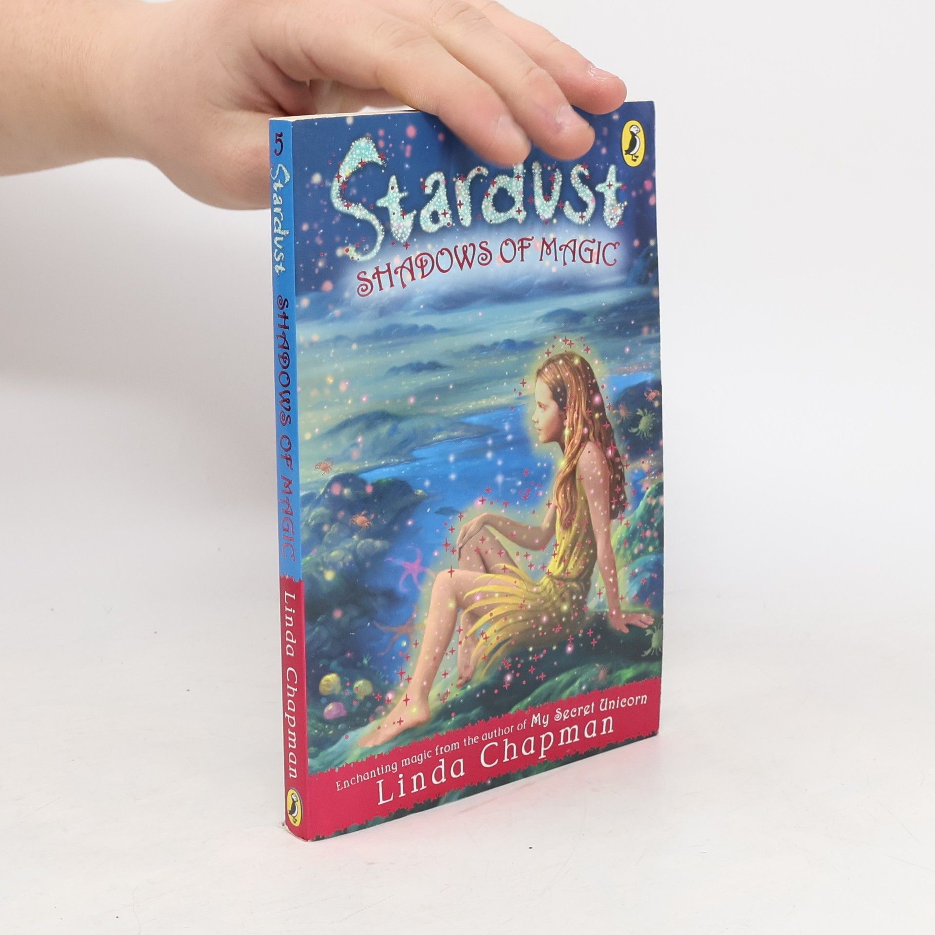 Linda Chapman Stardust