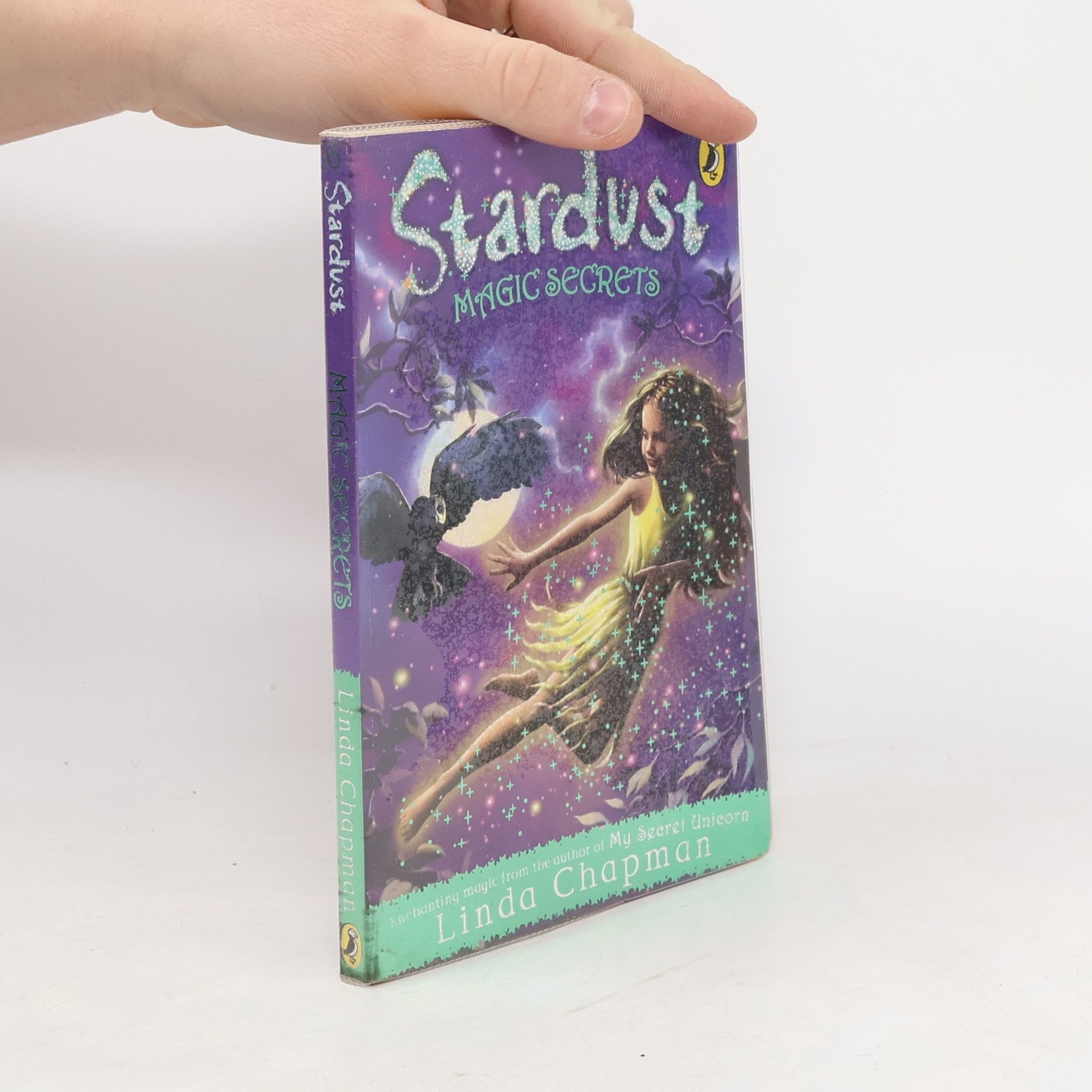 Linda Chapman Stardust