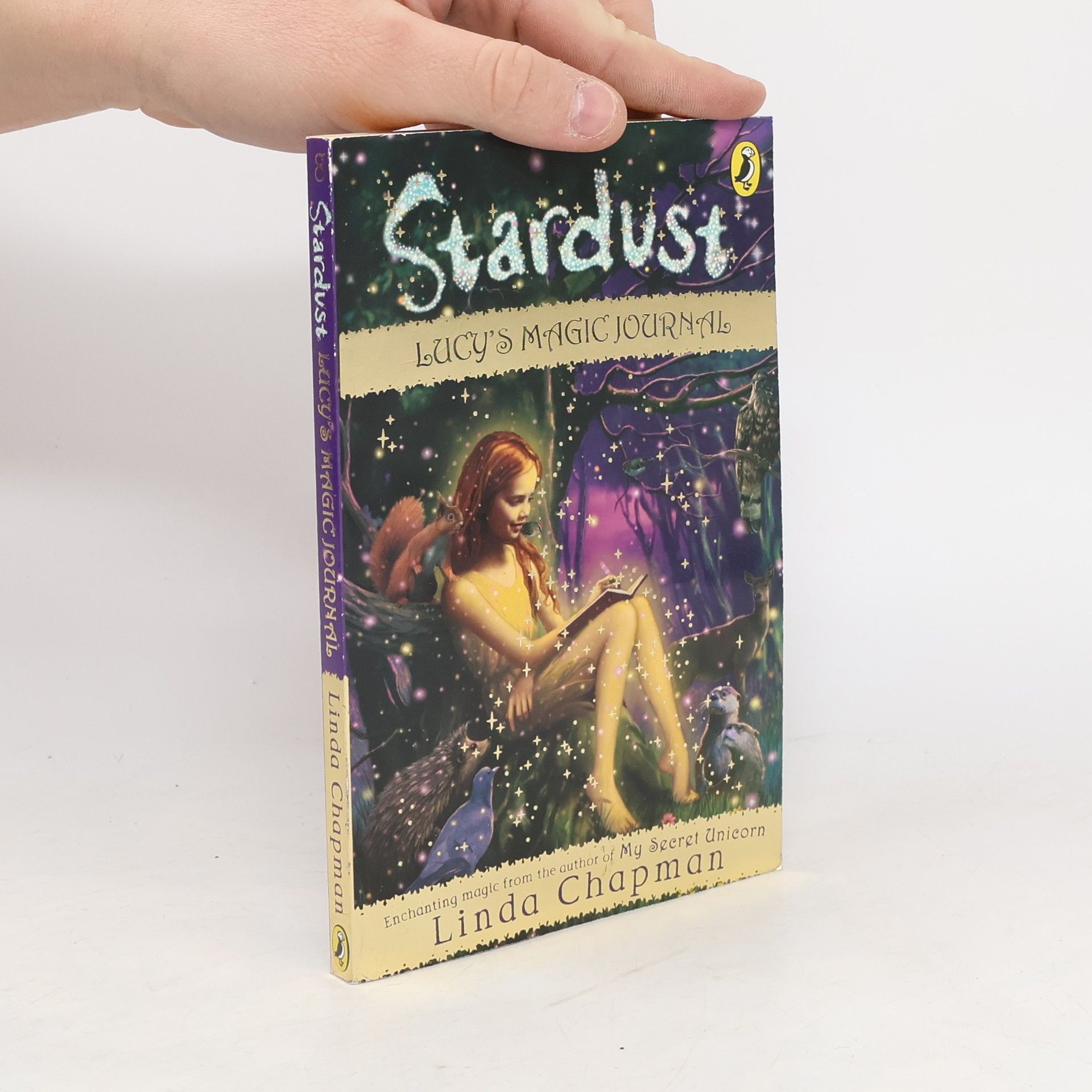 Linda Chapman Stardust
