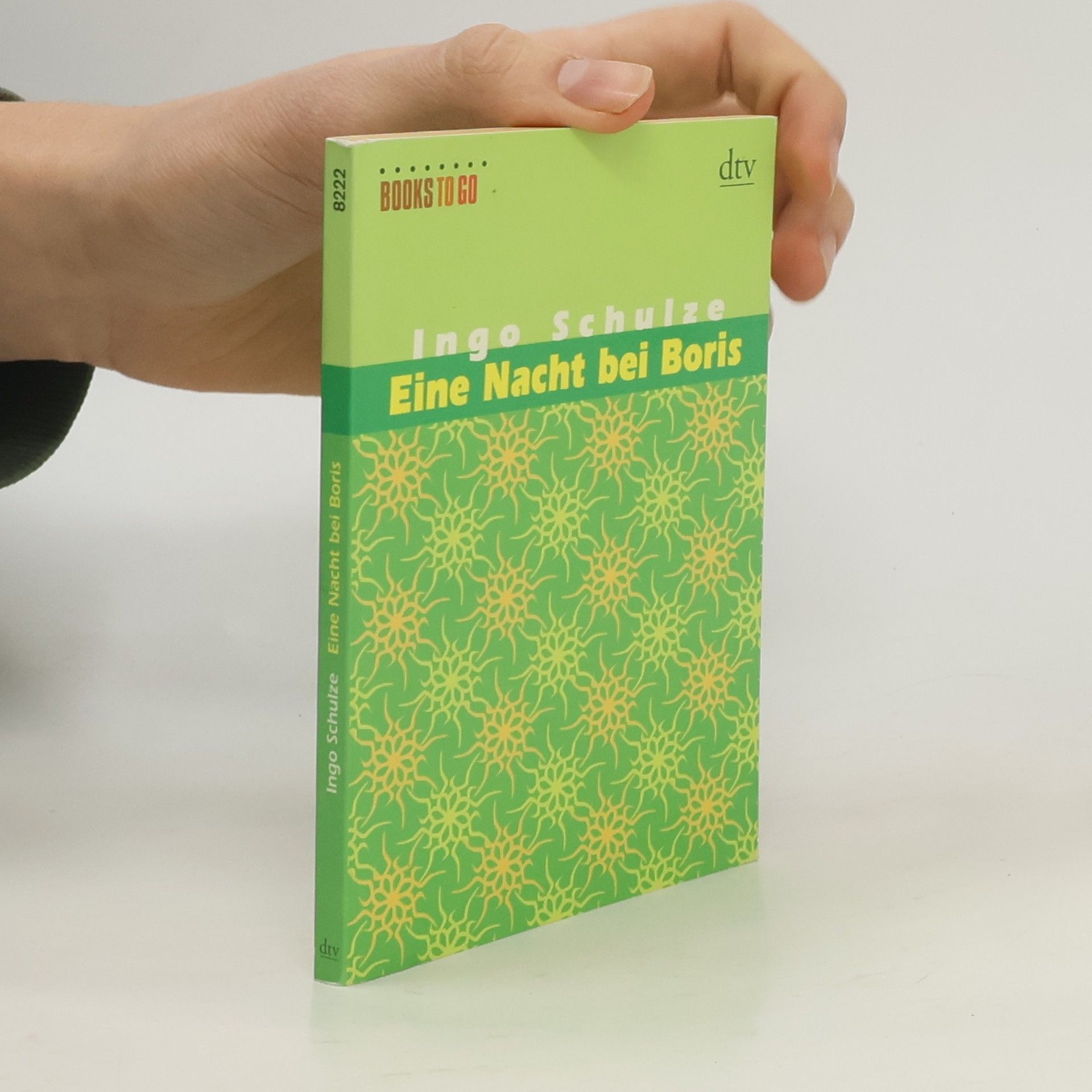 Ingo Schulze Eine Nacht bei Boris