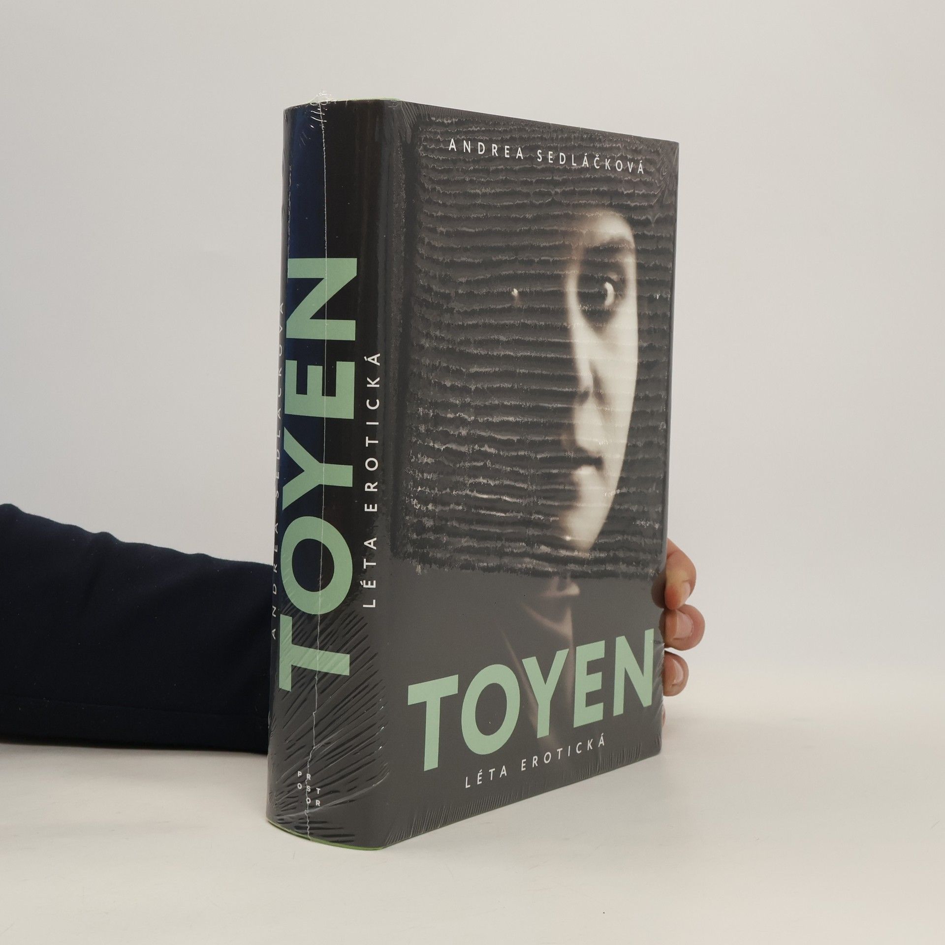 Toyen: Léta erotická