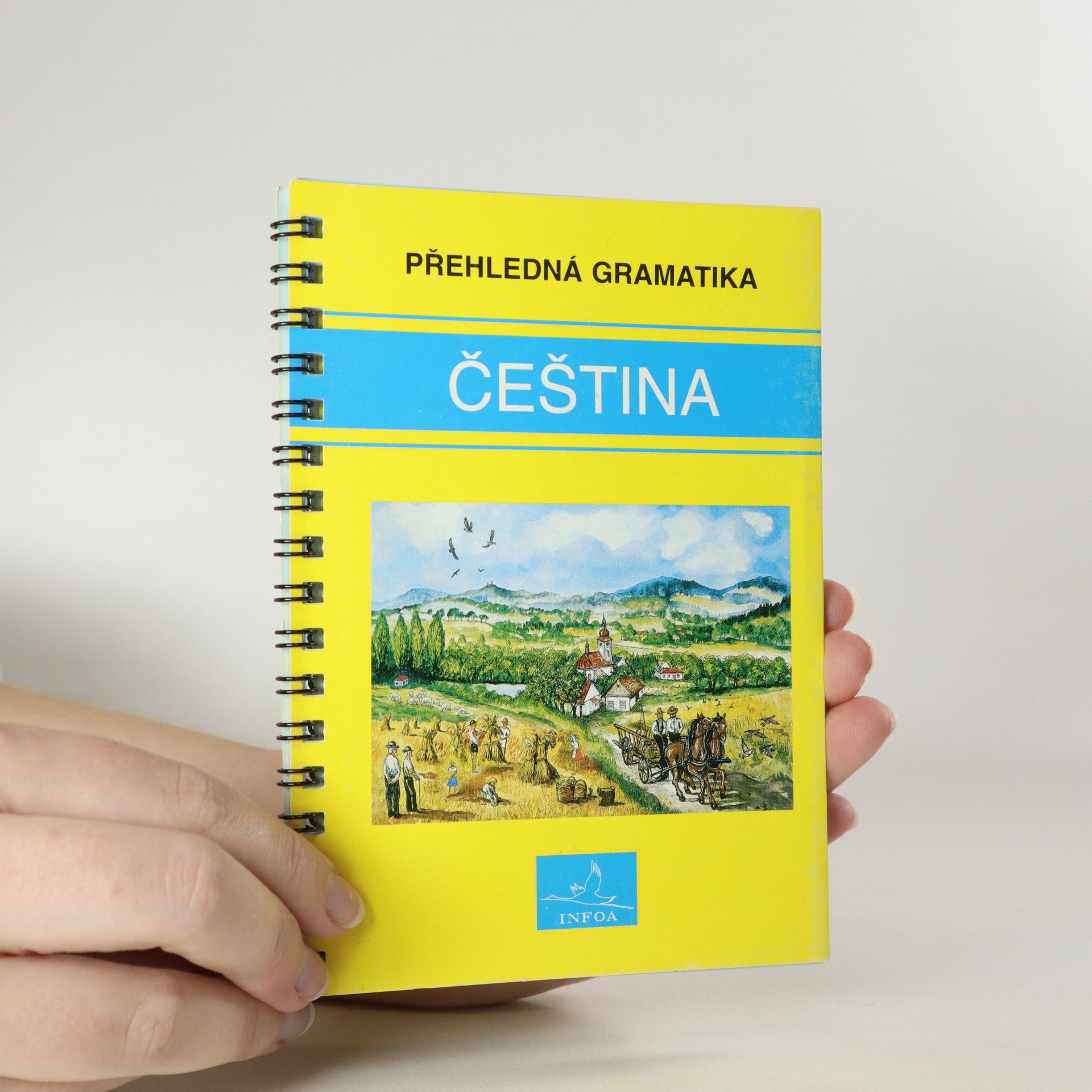 Martina Sobotíková Čeština. Přehledná gramatika