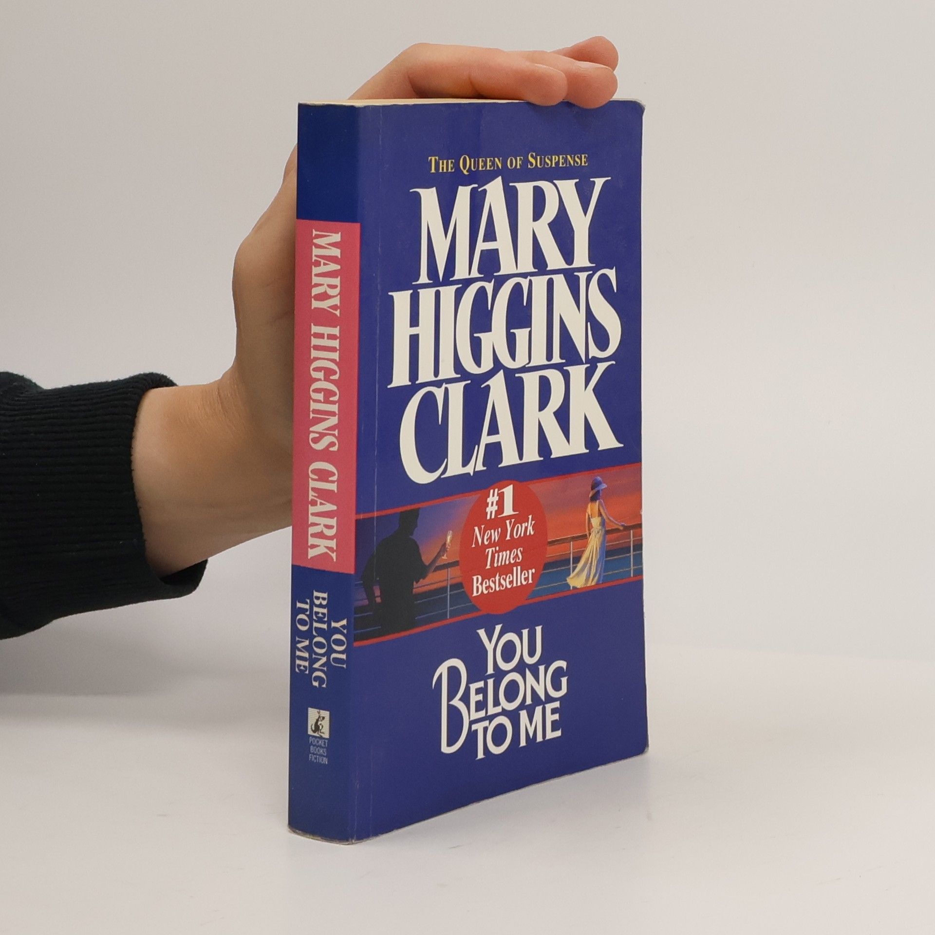 Mary Higgins Clark You Belong to Me