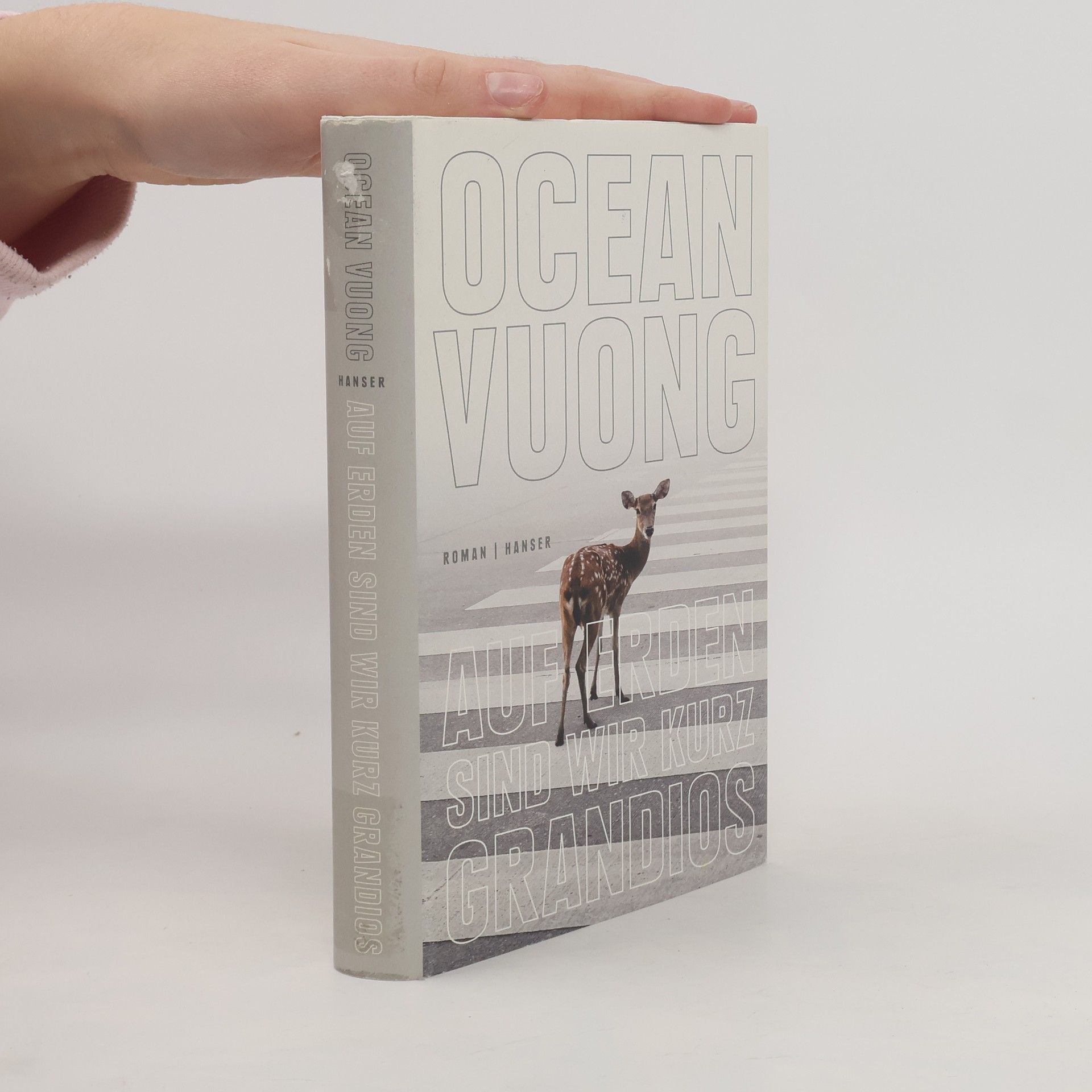 Ocean Vuong Auf Erden sind wir kurz grandios