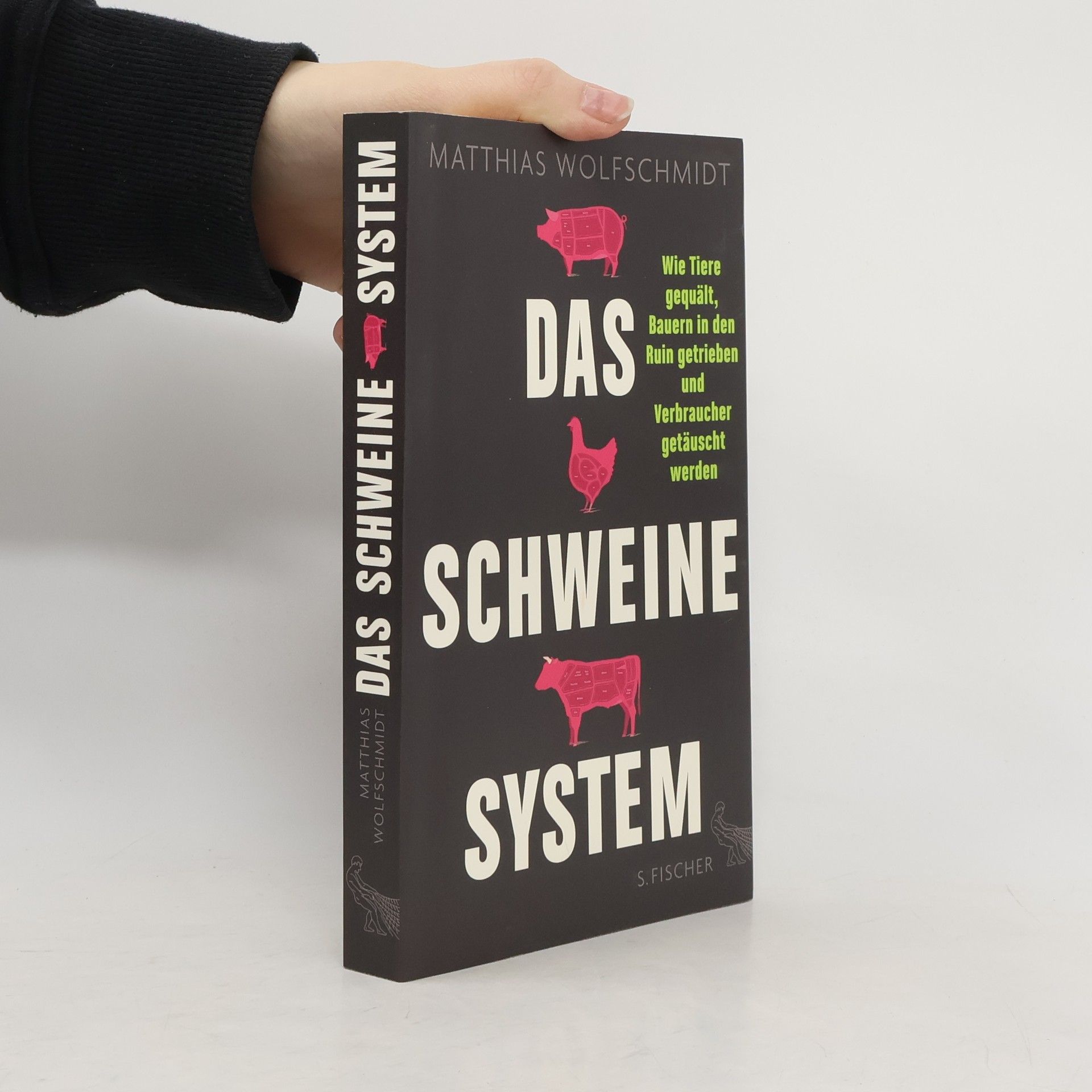 Matthias Wolfschmidt Das Schweinesystem