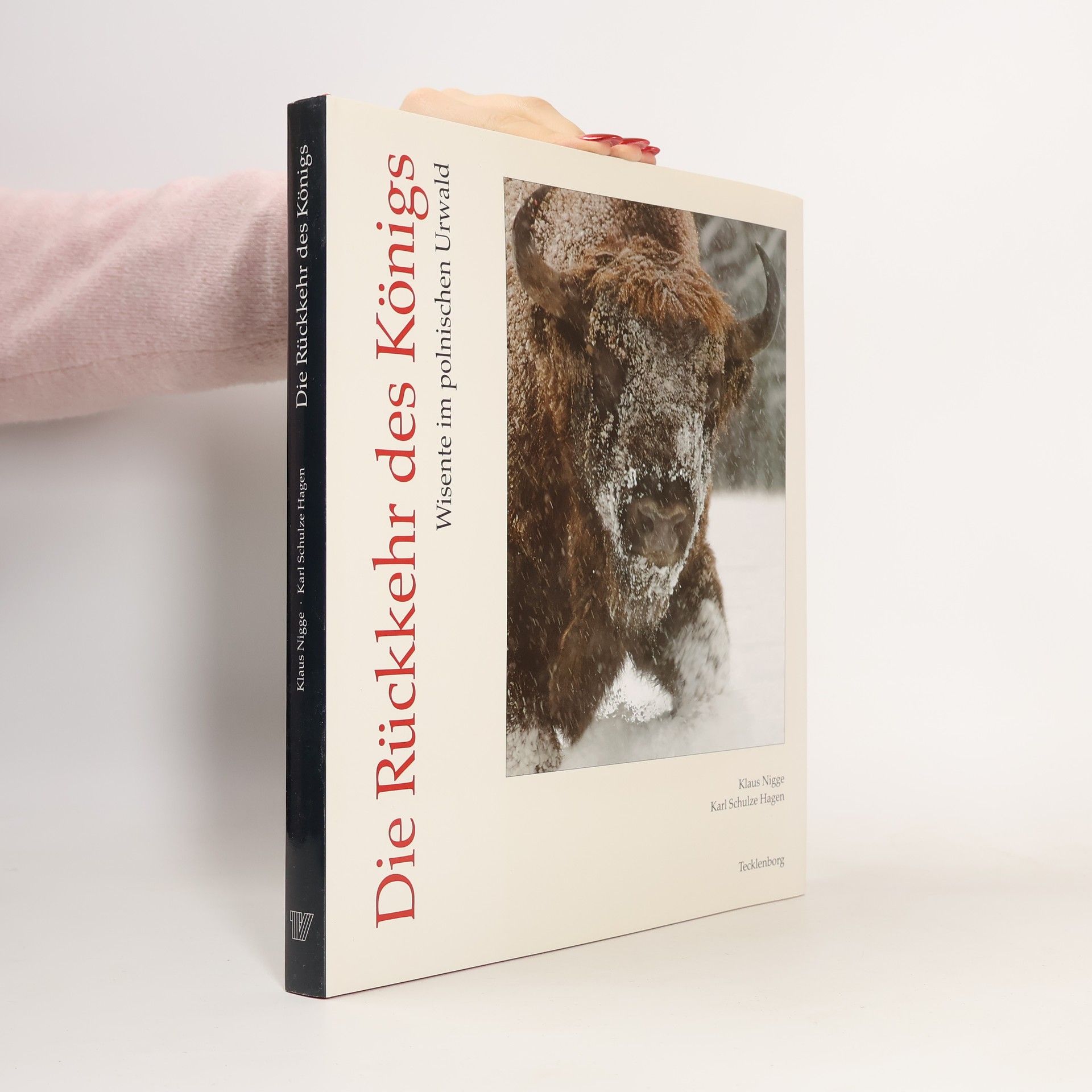 Die Rückkehr des Königs