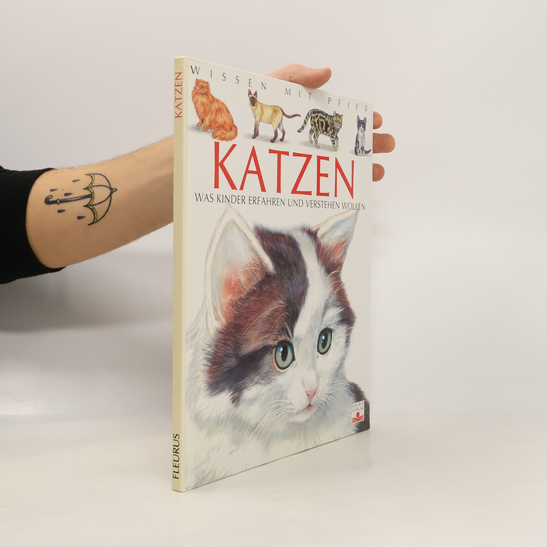 Agnes Vandewiel Katzen