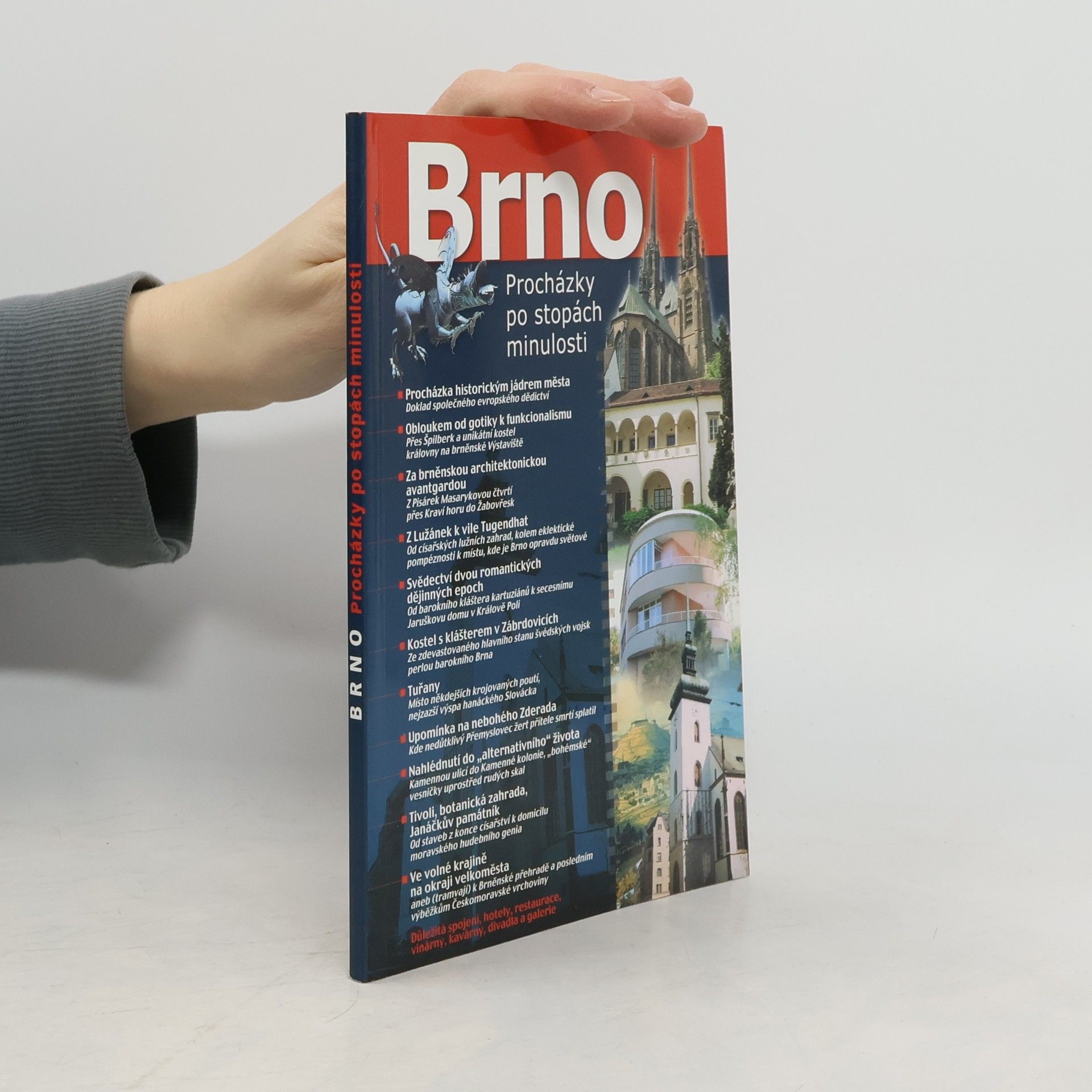 Ladislav Plch Brno: Procházky po stopách minulosti