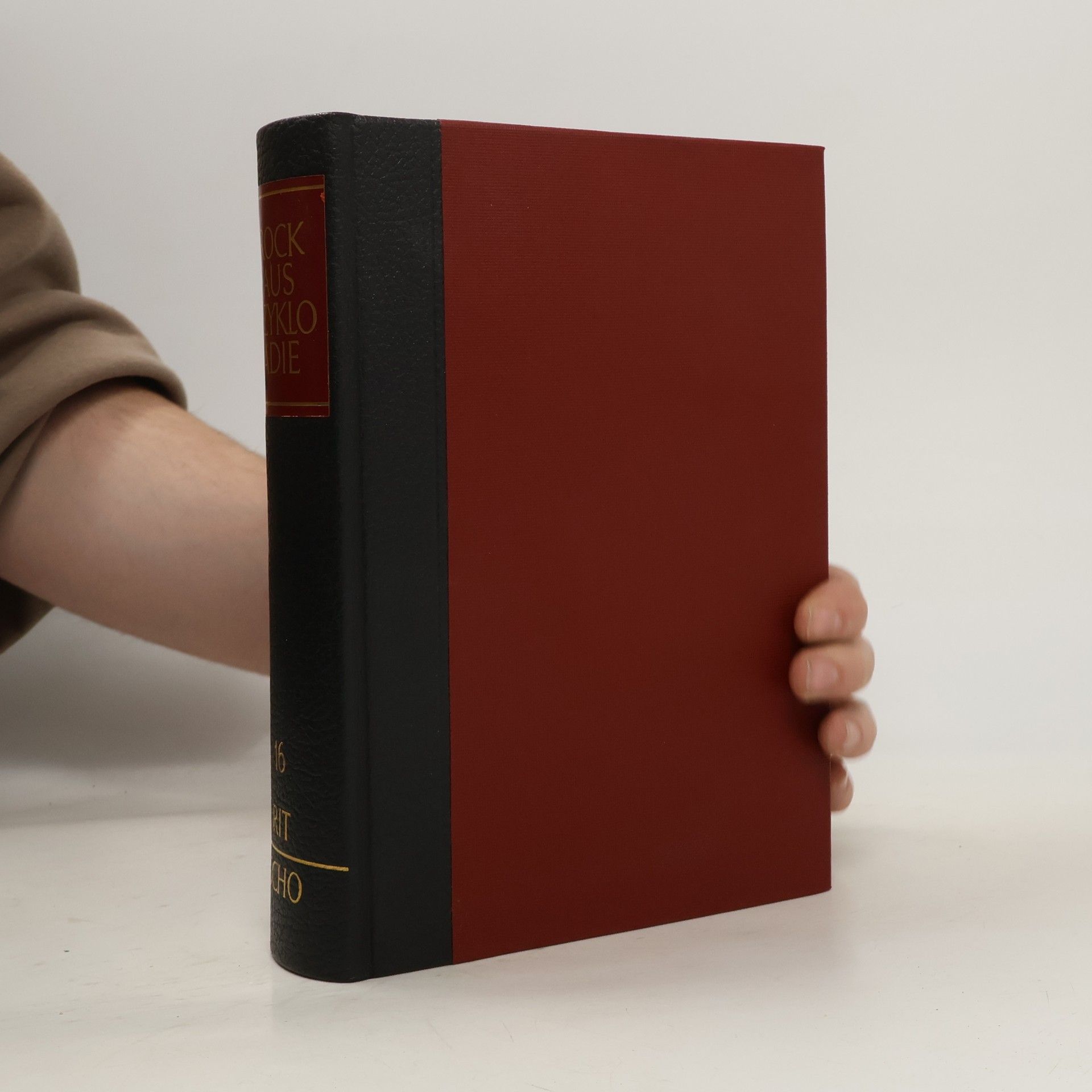 Kolektív autorov Brockhaus Enzyklopädie 16. Rit-Scho