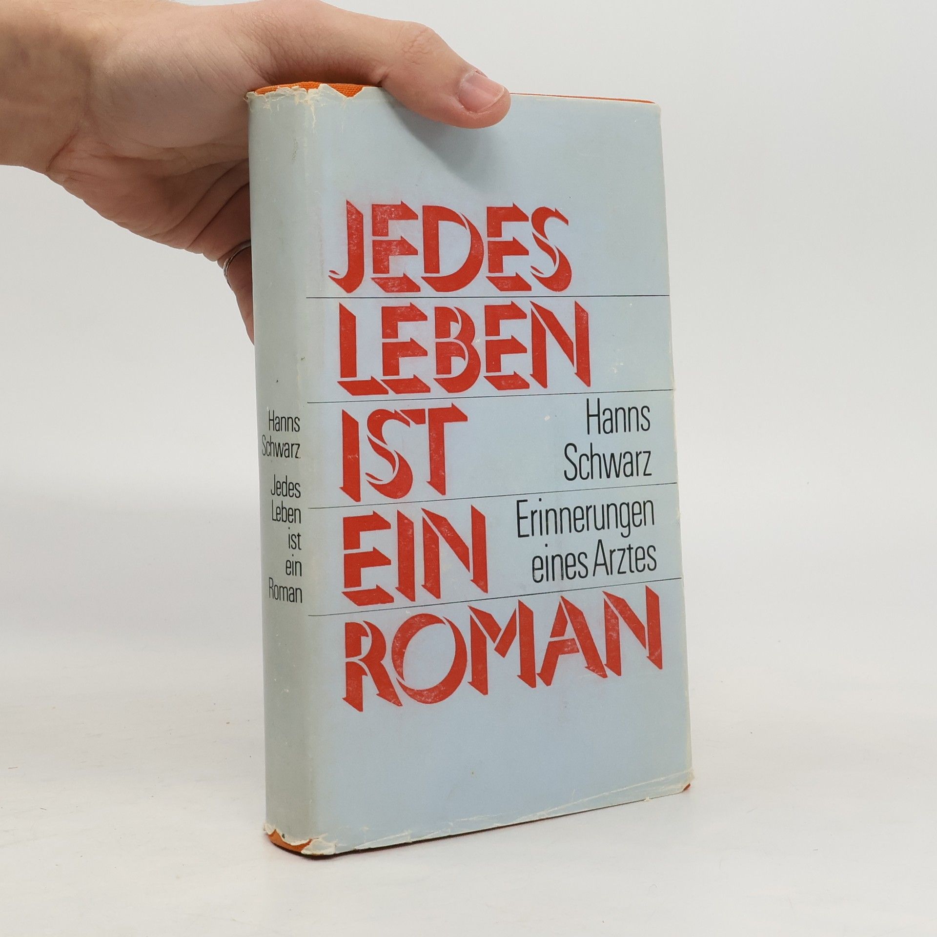 Hanns Schwarz Jedes Leben ist ein Roman