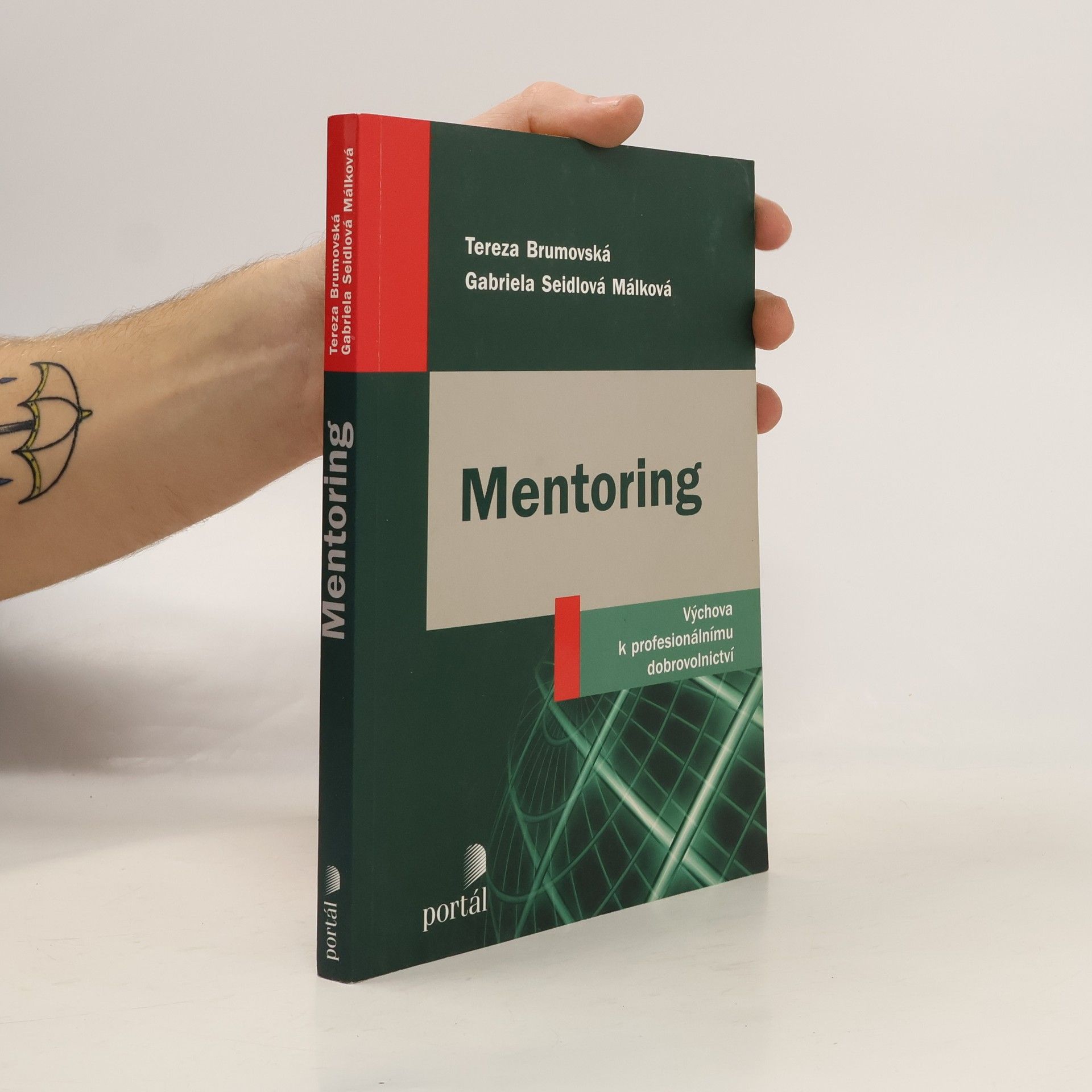 Mentoring: Výchova k profesionálnímu dobrovolnictví