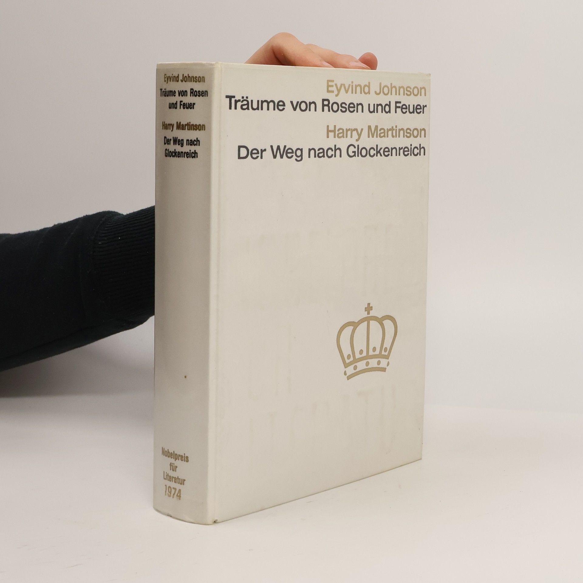 Träume von Rosen und Feuer. Der Weg nach Glockenreich