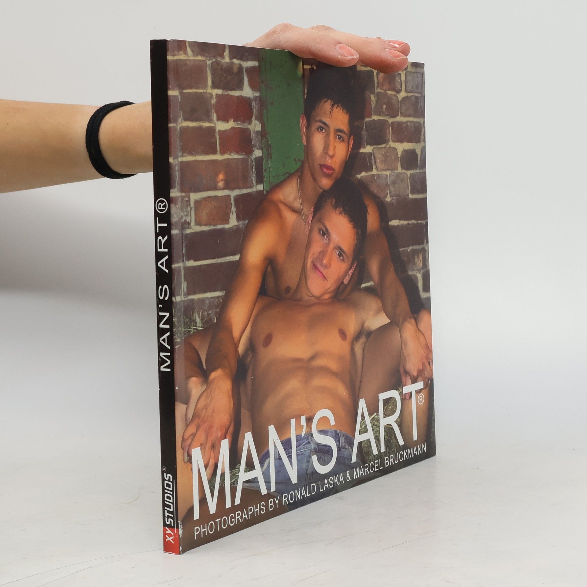 Ronald Laska Man's Art