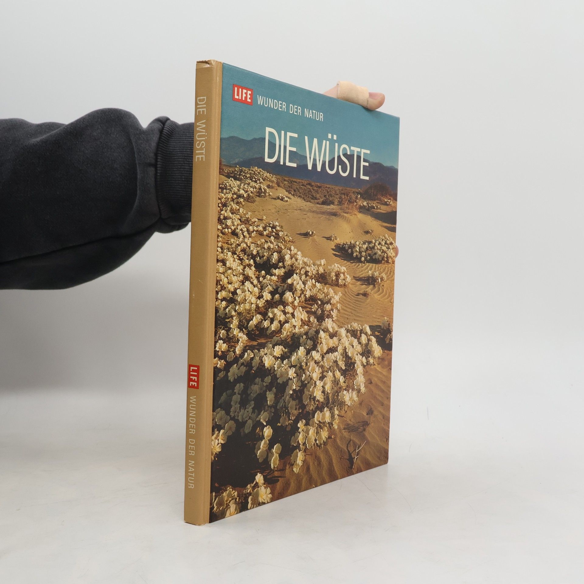 Auteurscollectief Die Wüste