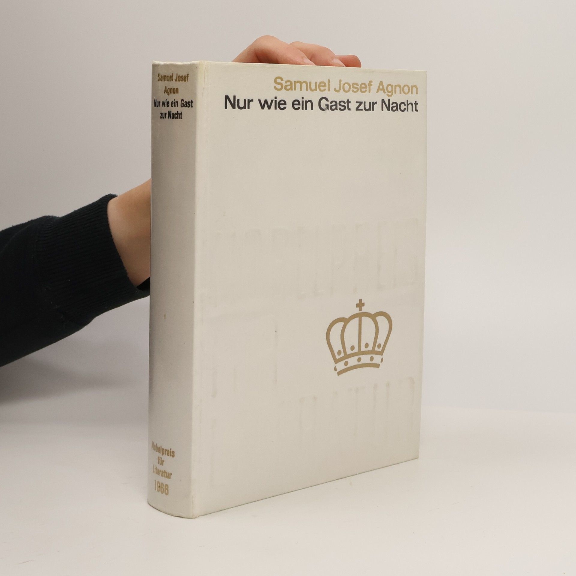 Nur wie ein Gast zur Nacht