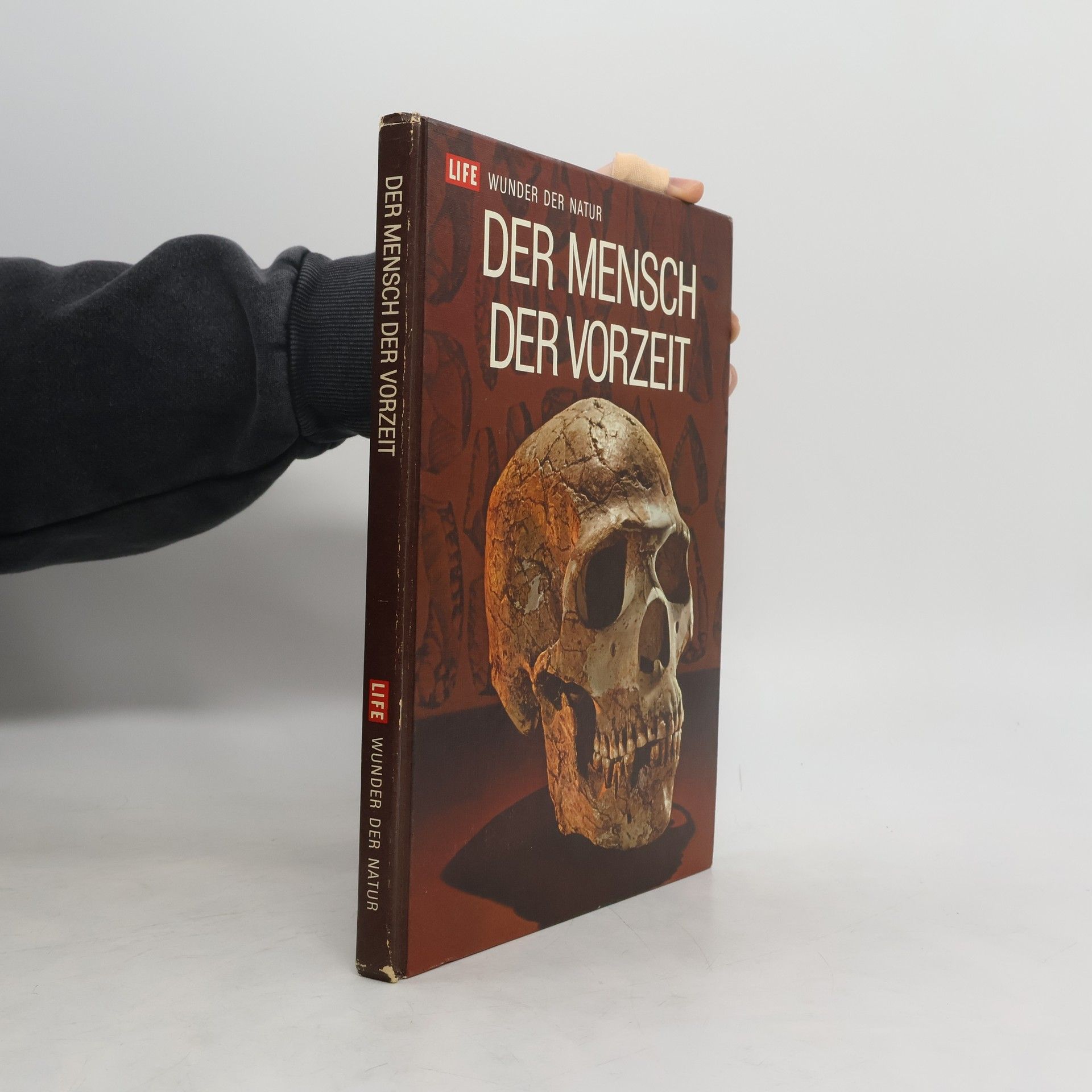 Autorenkollektiv Der Mensch der Vorzeit