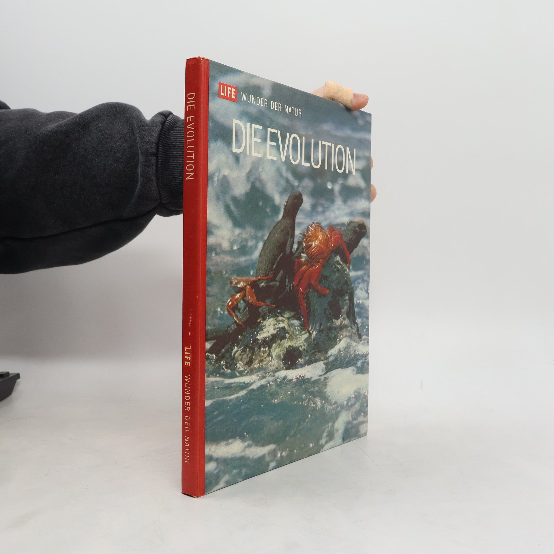 Ruth Moore Die Evolution