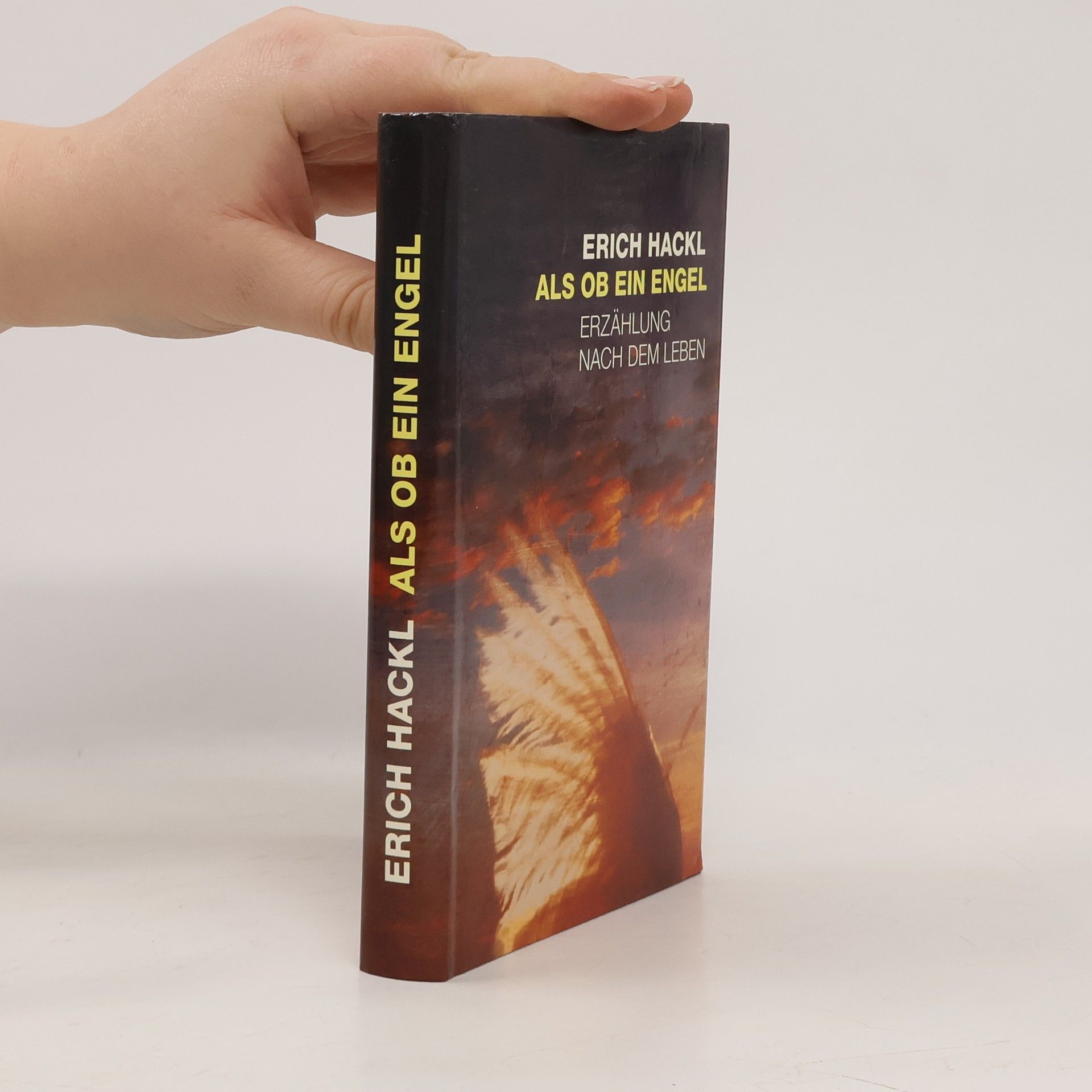 Erich Hackl Als ob ein Engel