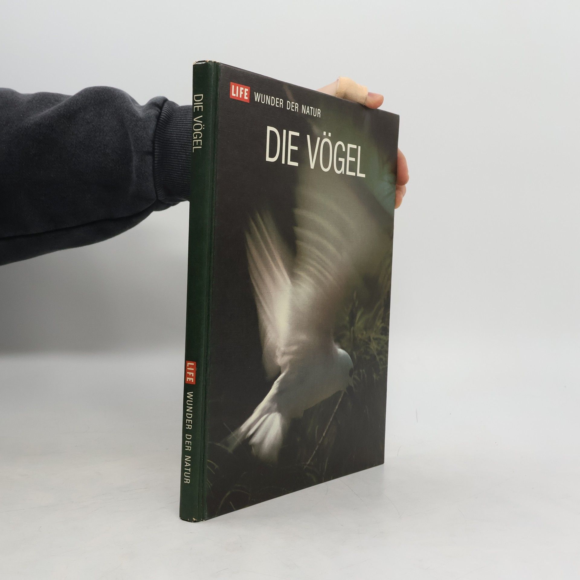 Die Vögel