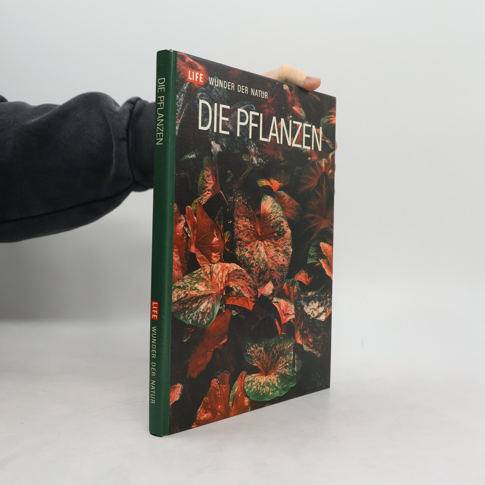 Autorenkollektiv Die Pflanzen