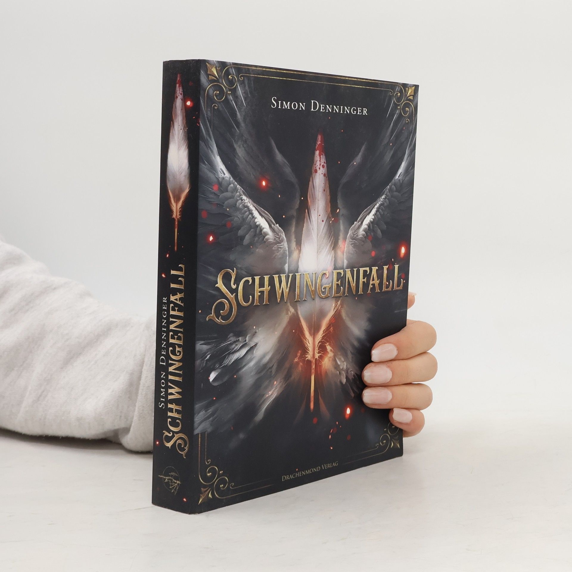 Simon Denninger Schwingenfall