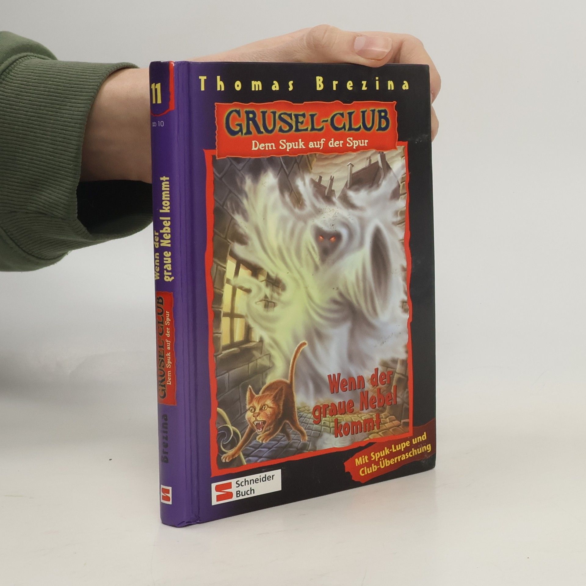 Thomas Brezina Grusel-Club - Dem Spuk auf der Spur, Band 11. Wenn der graue Nebel kommt