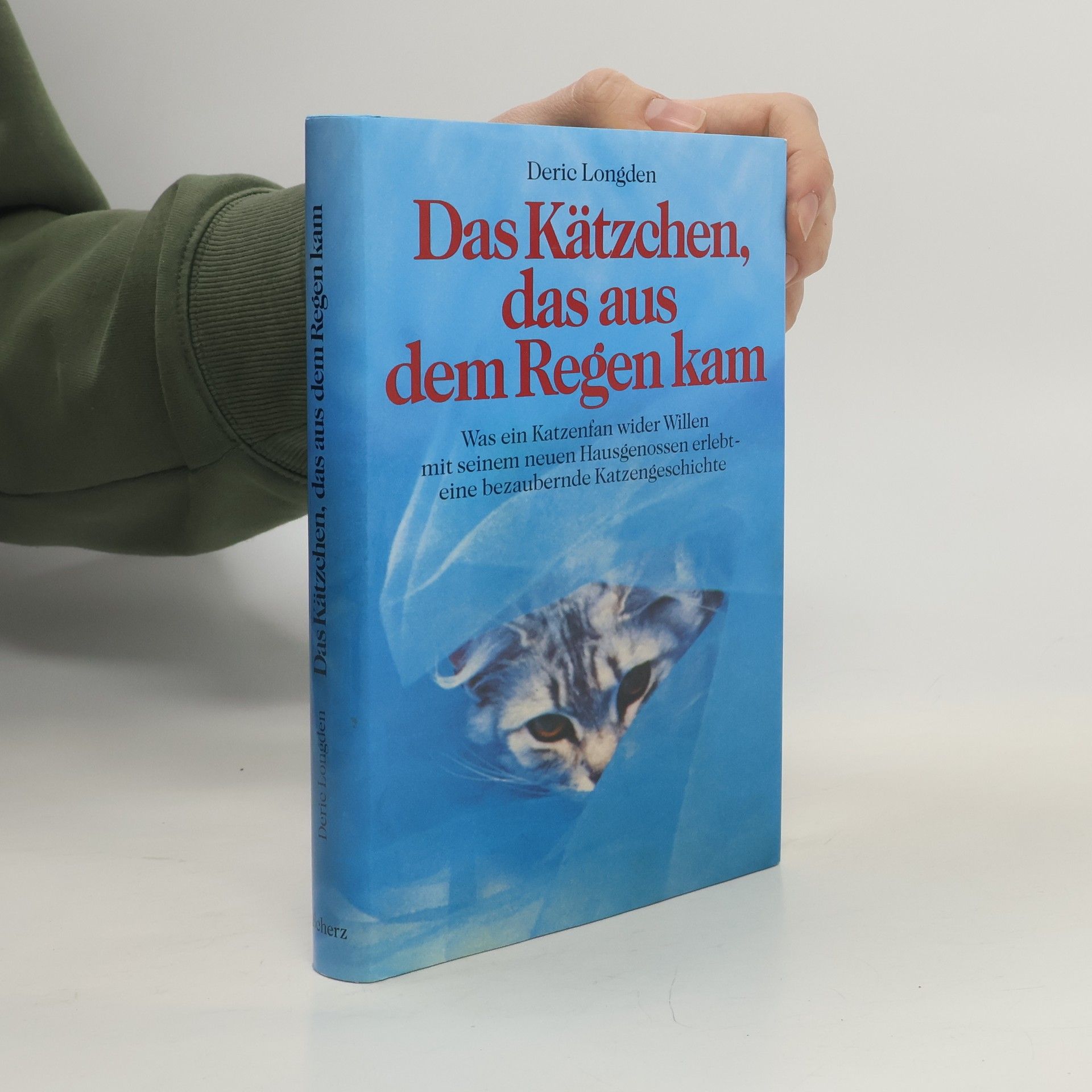Deric Longden Das Kätzchen, das aus dem Regen kam