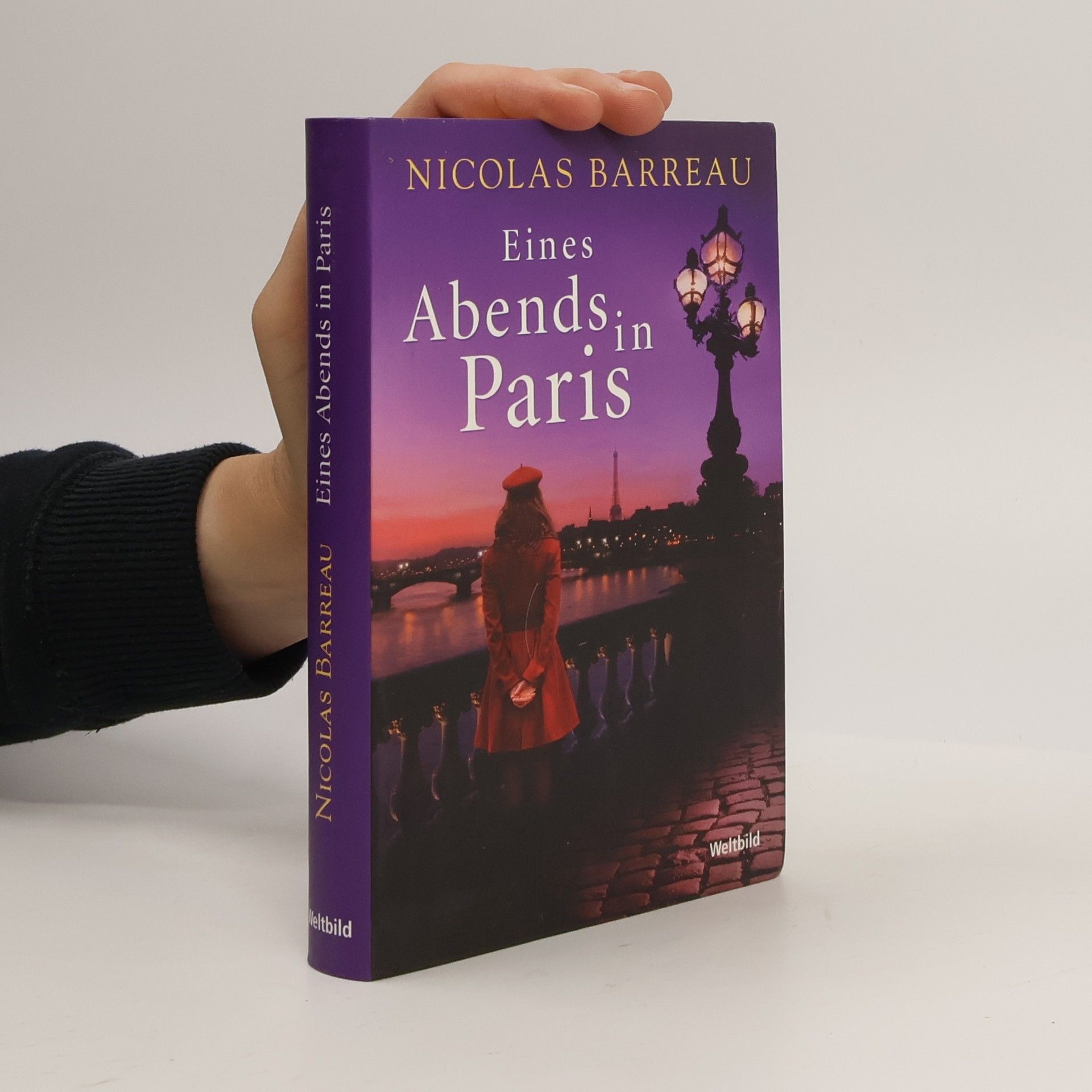 Nicolas Barreau Eines Abends in Paris