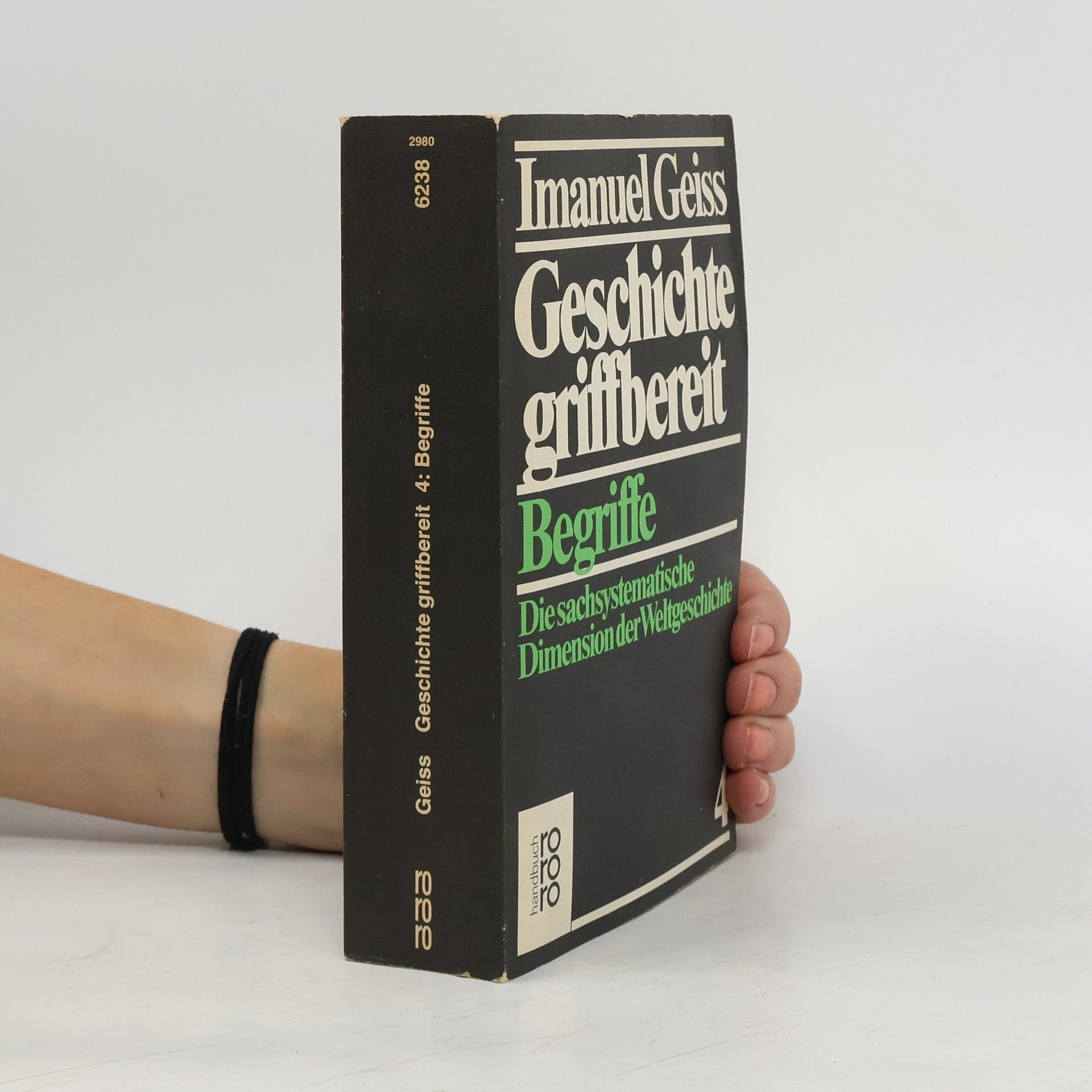 Geschichte griffbereit : die sachsystematische Dimension der Weltgeschichte. Bd. 4, Begriffe