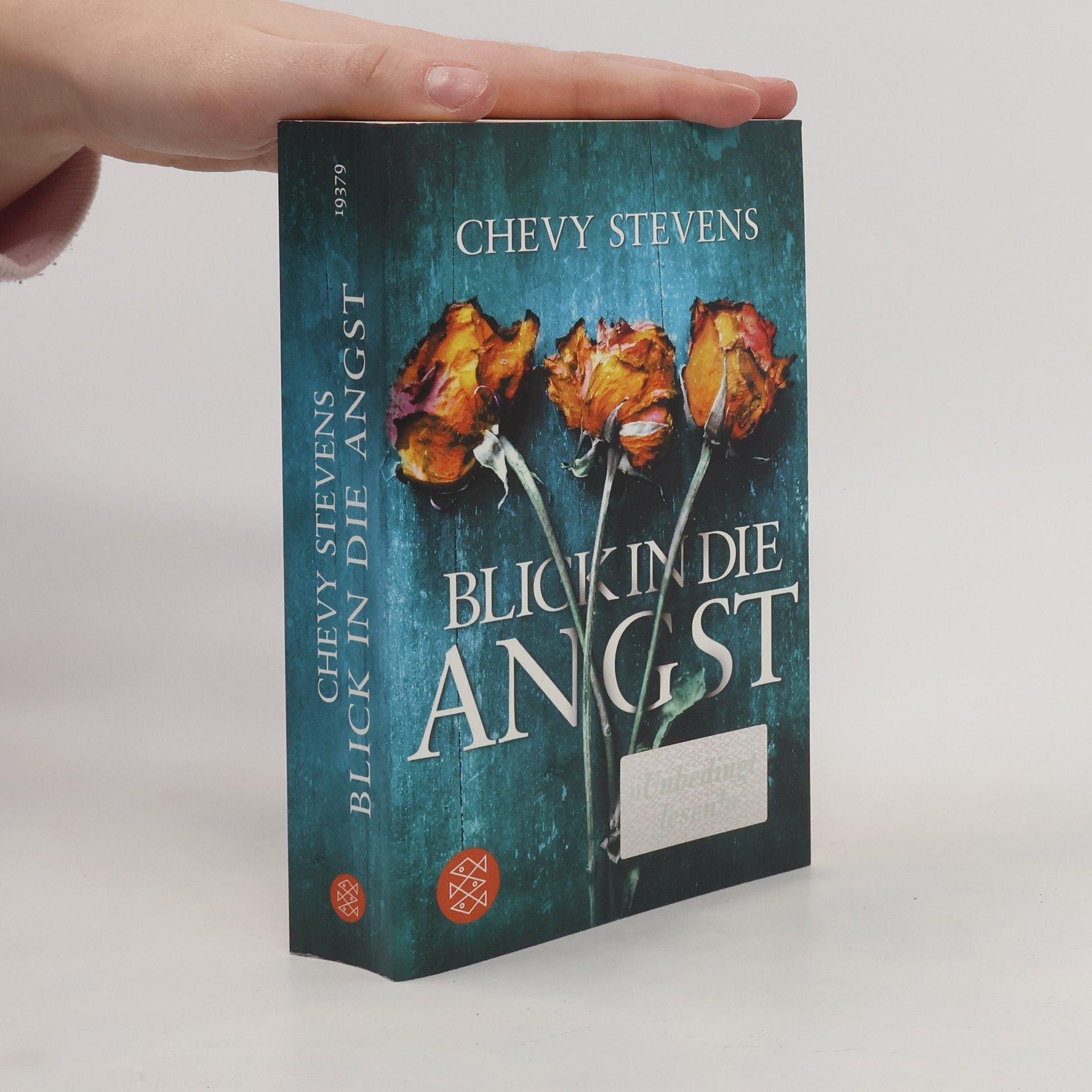 Chevy Stevens Blick in die Angst