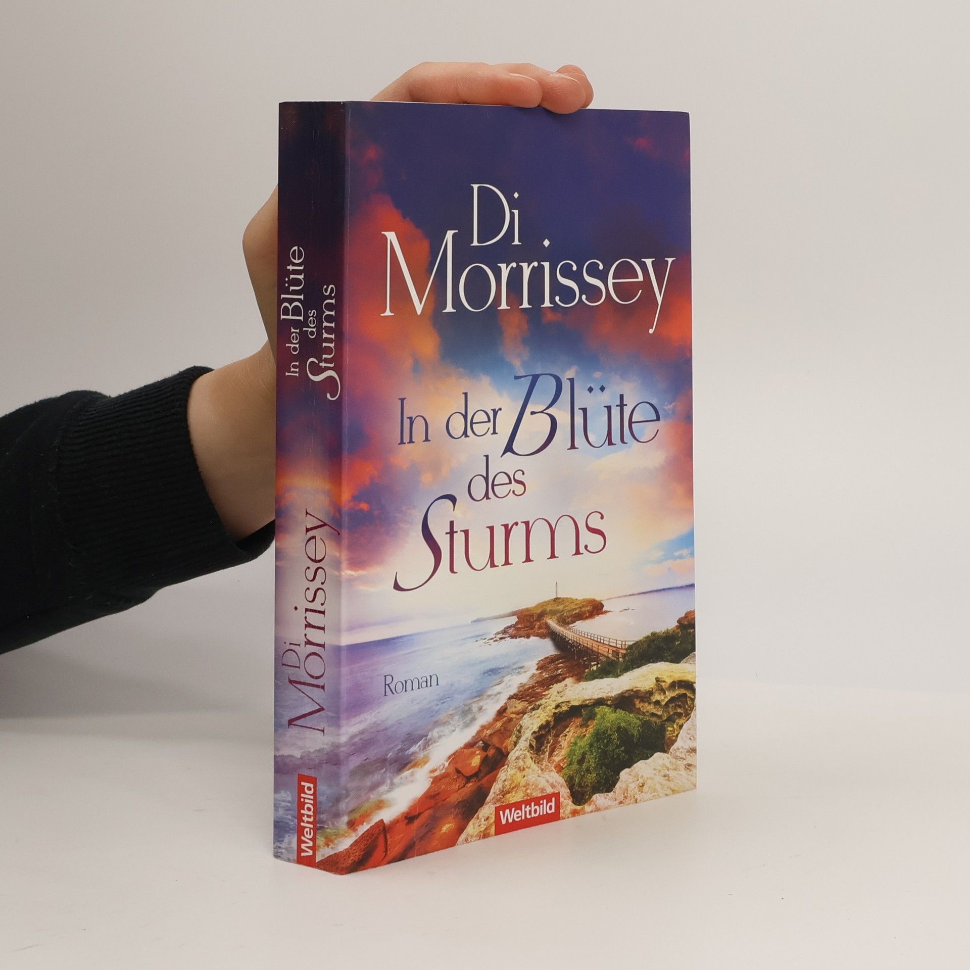 Di Morrissey In der Blüte des Sturms