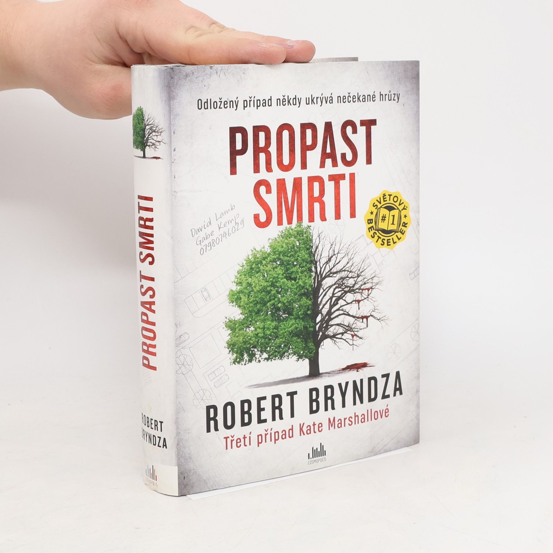 Robert Bryndza Propast smrti