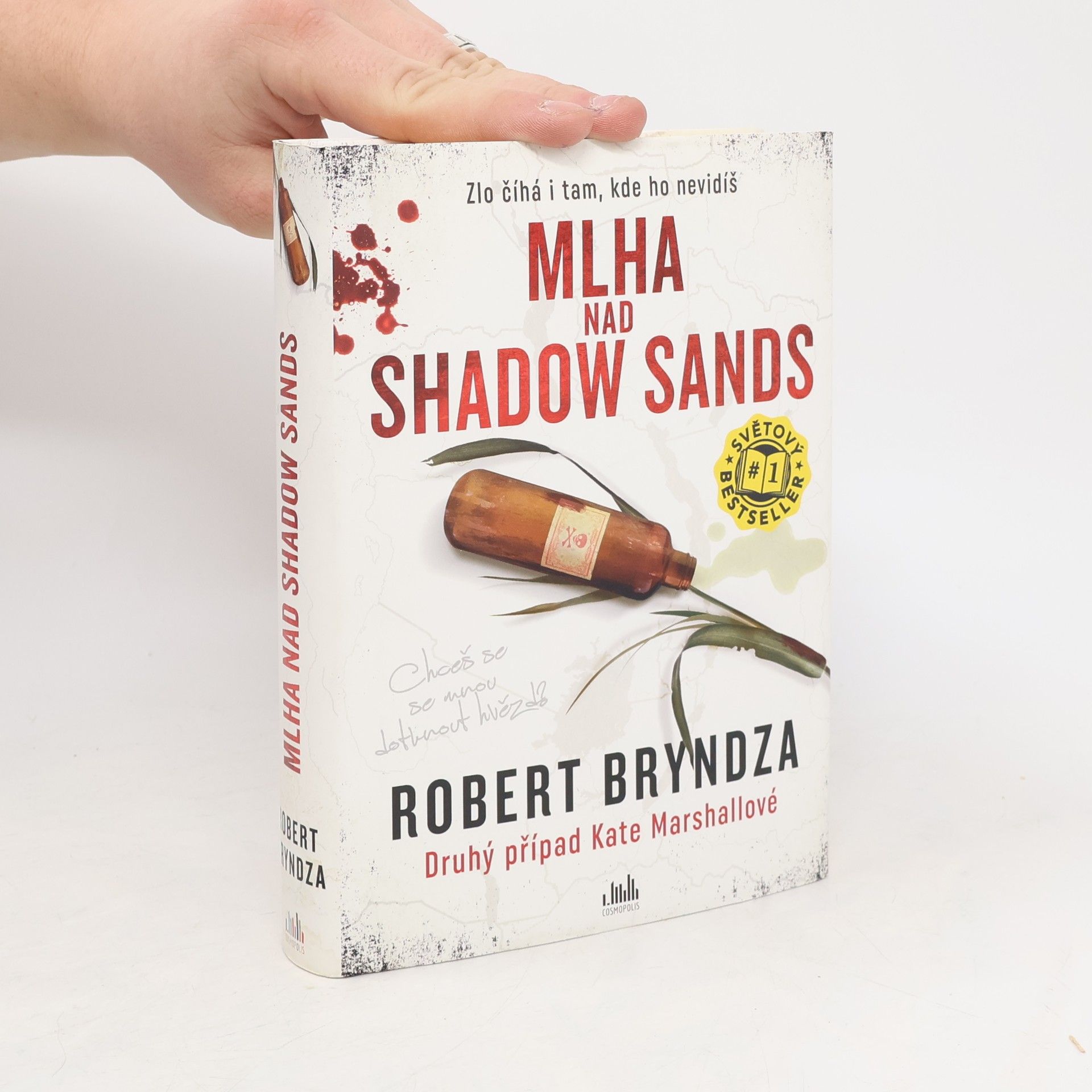 Robert Bryndza Mlha nad Shadow Sands