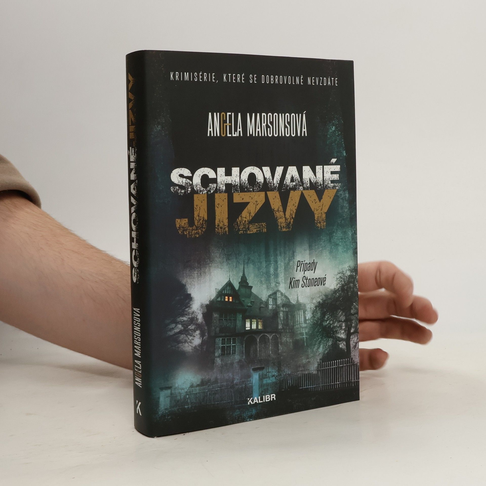 Schované jizvy