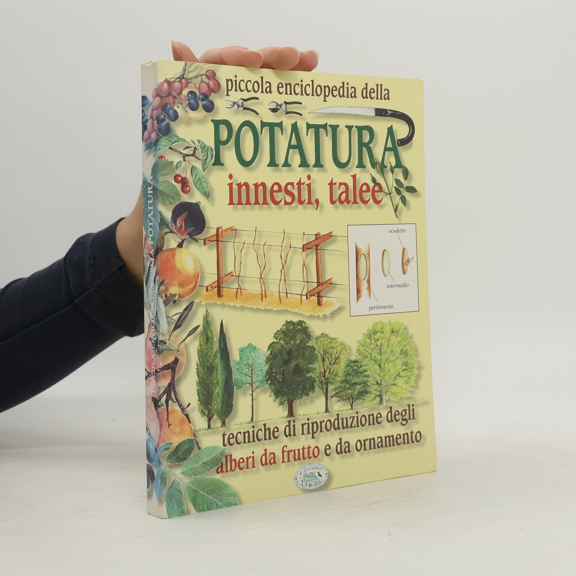 Autorenkollektiv Piccola enciclopedia della potatura, innesti, talee. Tecniche di riproduzione degli alberi da frutto e da ornamento